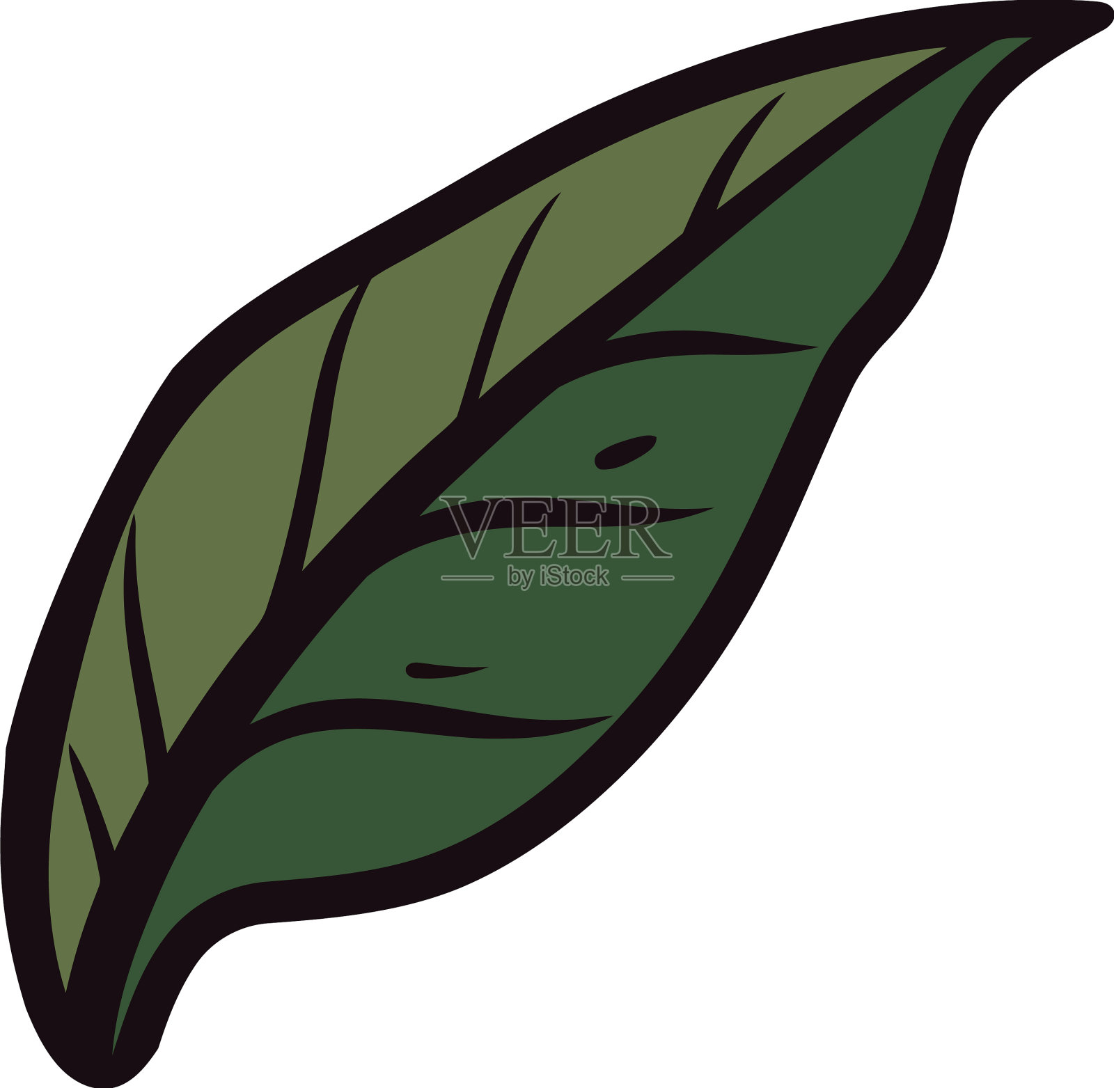 绿叶象征着大自然的美丽和成长设计元素图片