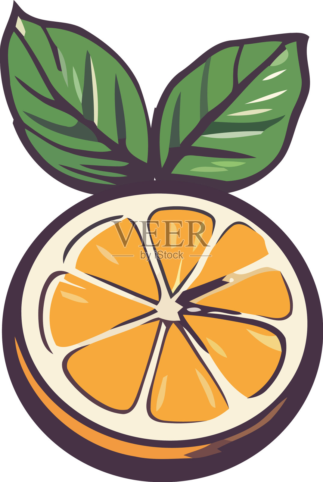 多汁的柑橘，新鲜，有机设计元素图片