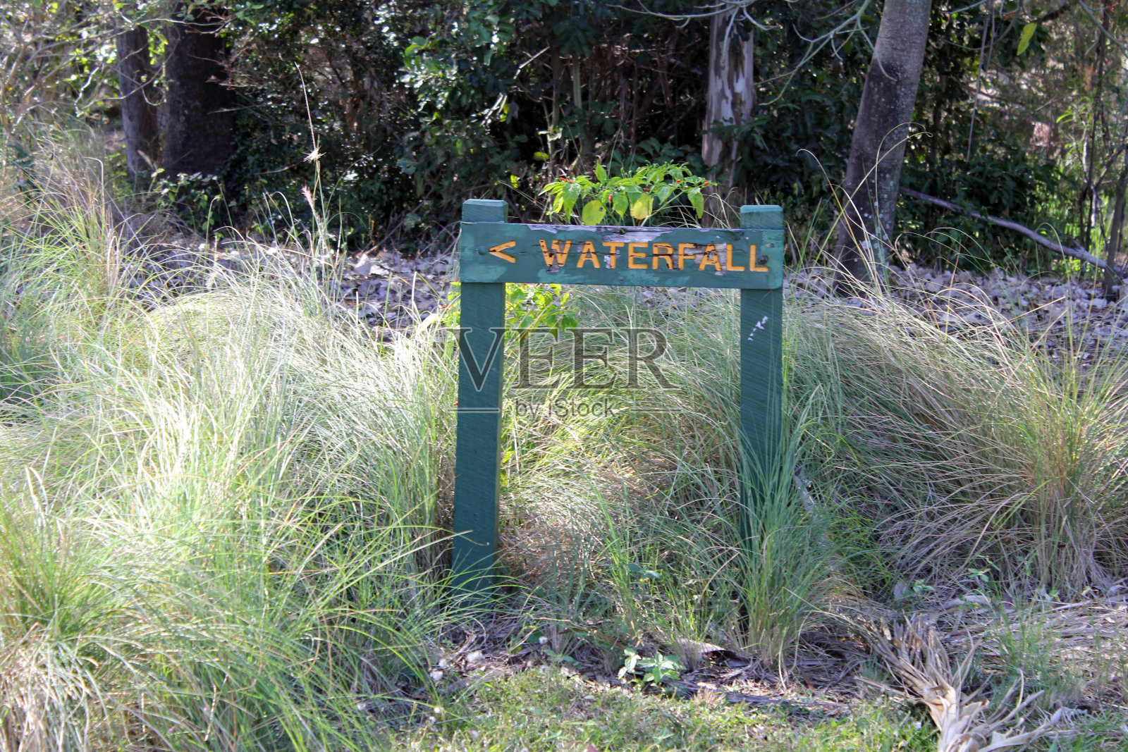 长长的草丛中有瀑布标志照片摄影图片