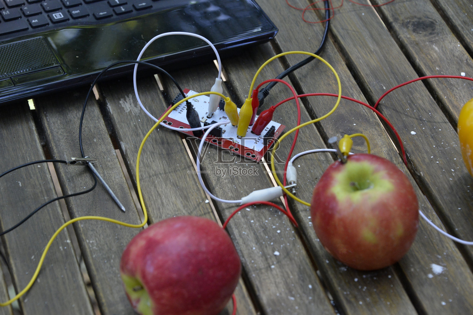 用植物和水果做实验照片摄影图片