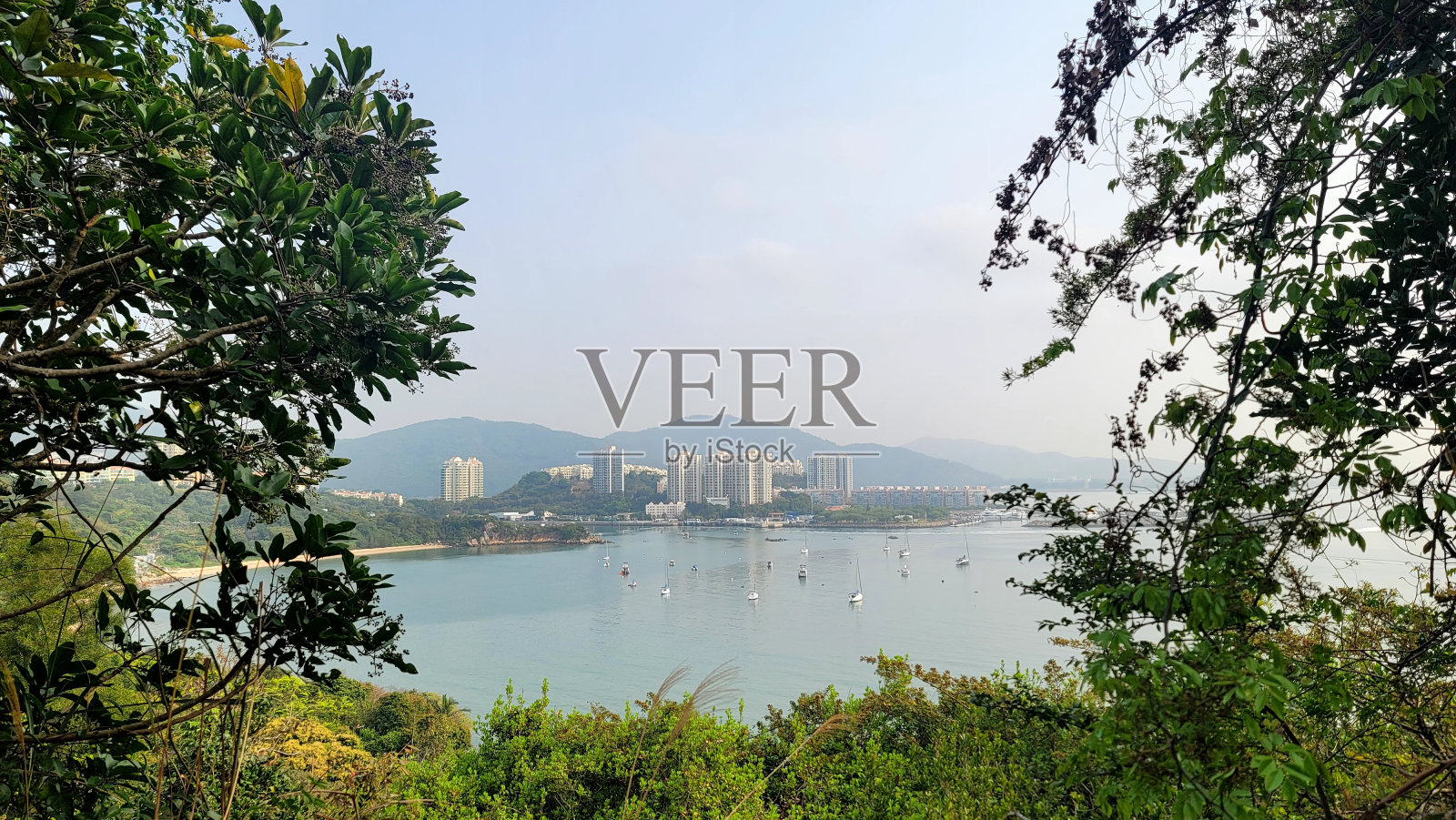 自然照片摄影图片