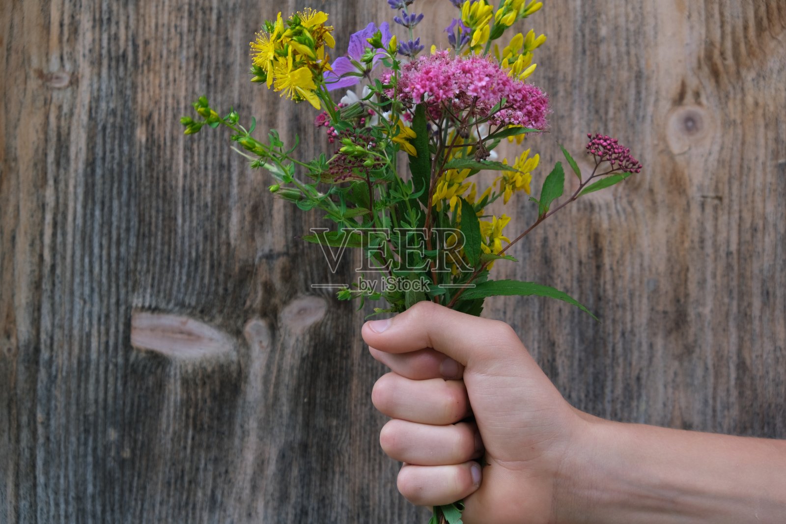 一个人手里拿着一束彩色的花照片摄影图片