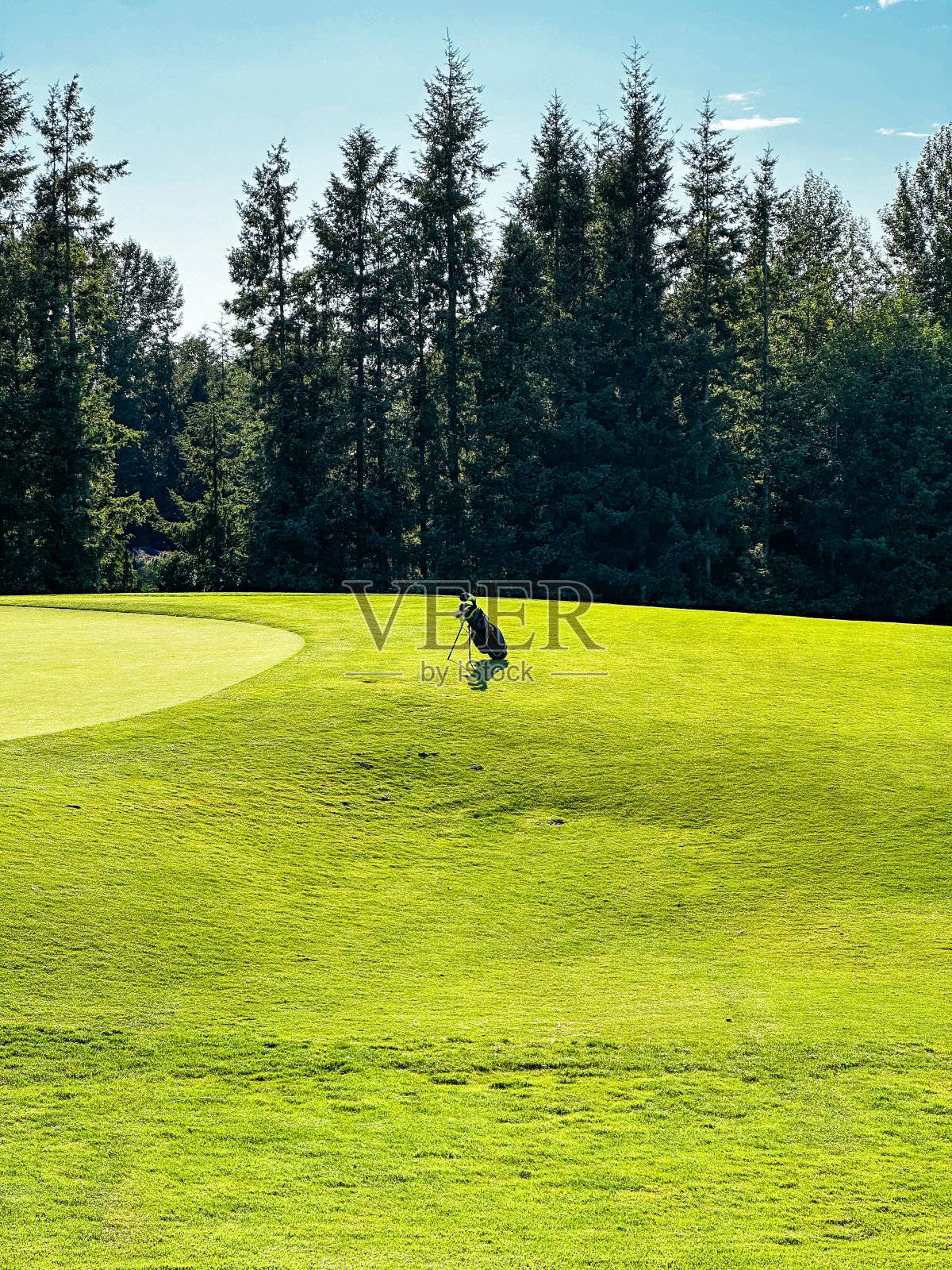 高尔夫球场上的高尔夫球袋照片摄影图片