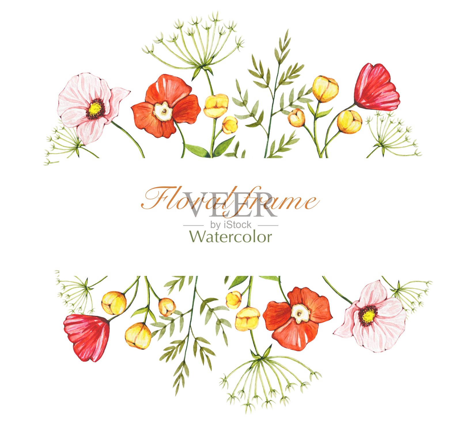 花框架与野花在一个白色的背景，水彩插画图片素材