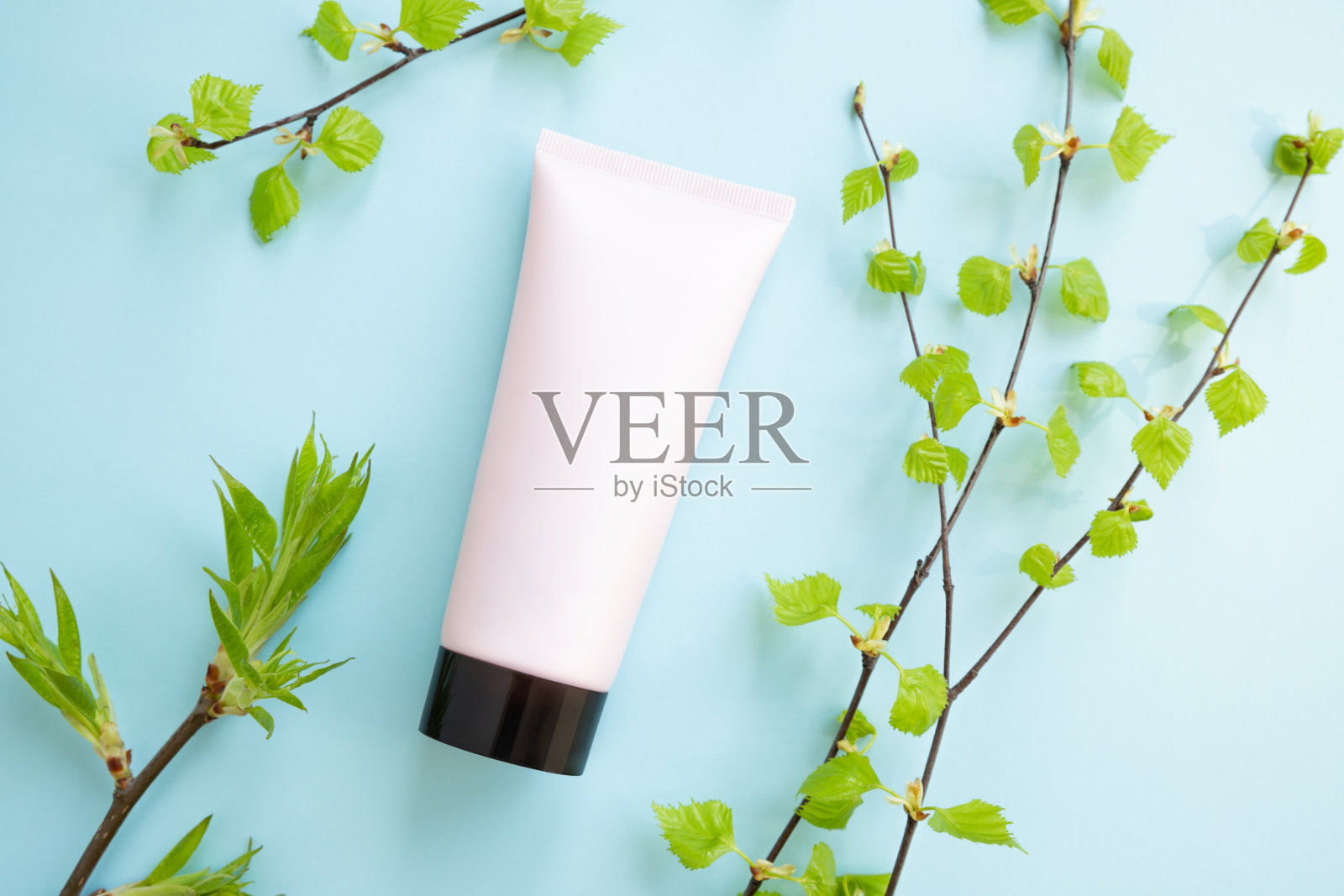 粉红色挤压瓶化妆品管螺旋黑色帽和白桦树枝与年轻的小叶子在蓝色的背景。平铺，俯视图。照片摄影图片