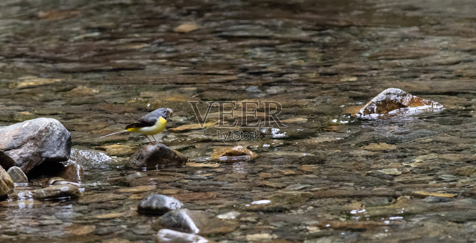 莫塔西拉电影照片摄影图片