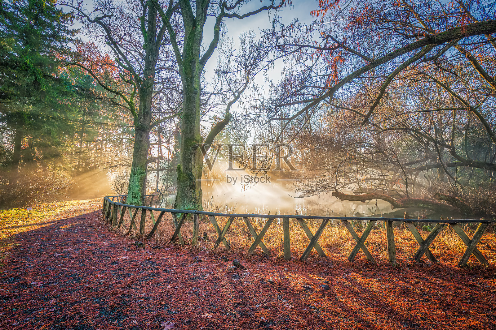 在一个秋日里，大自然有一千种颜色。照片摄影图片