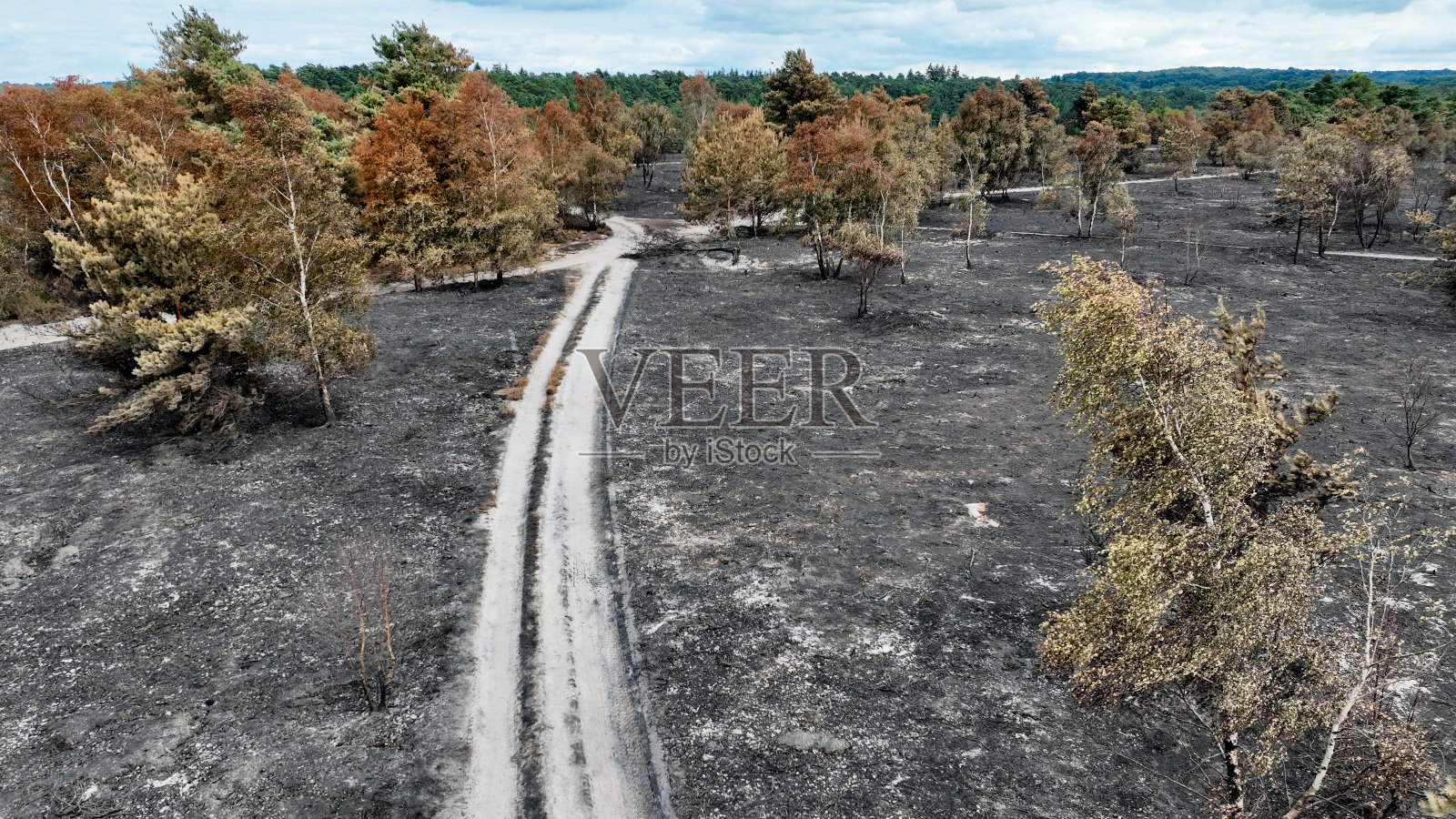 乡村森林火灾后的鸟瞰图照片摄影图片