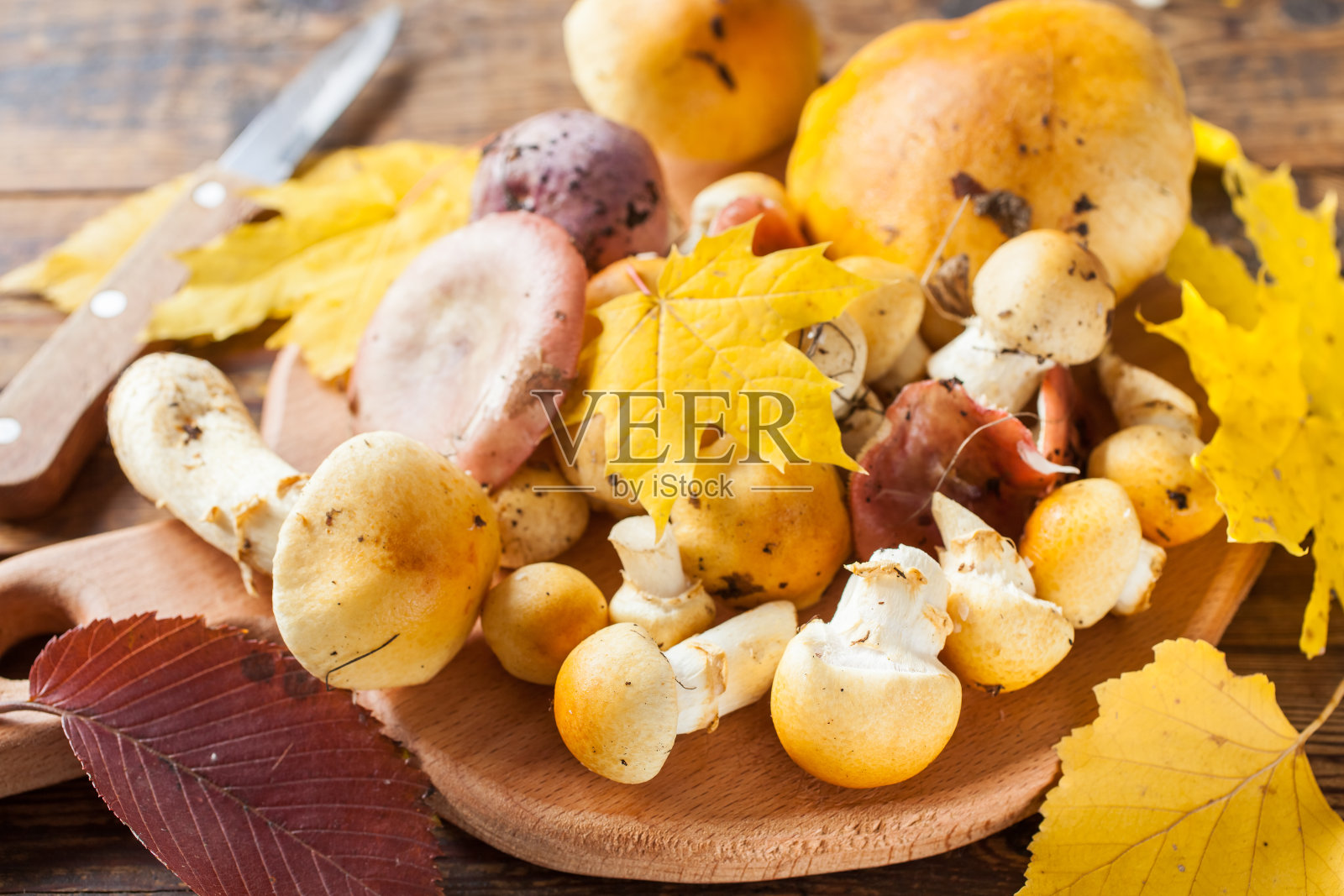 板子上的蘑菇，选择性聚焦照片摄影图片