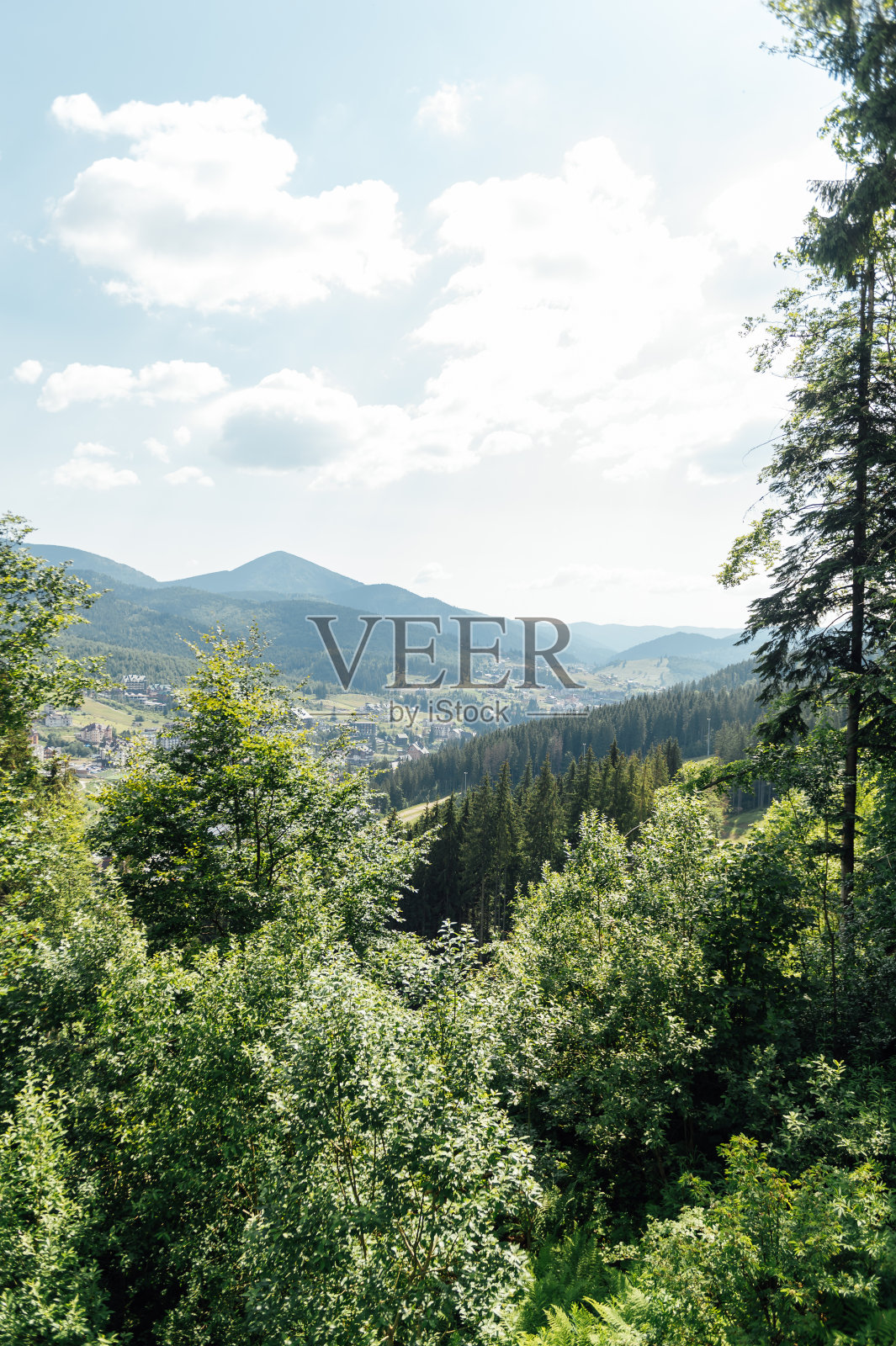 绿色的乌克兰山脉。夏天的时间。最大山峰的美丽景色。照片摄影图片