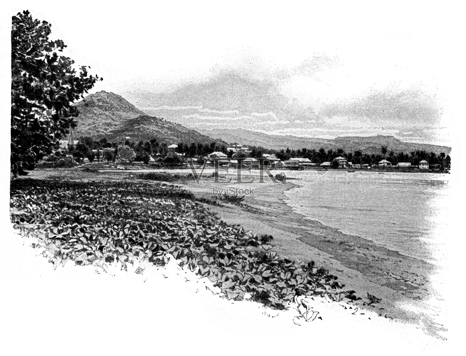 从马图图看阿皮亚插画图片素材