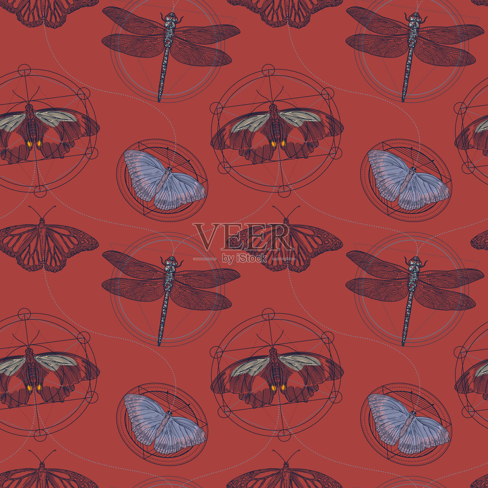 蛾，蝴蝶和蜻蜓神圣几何无缝图案插画图片素材