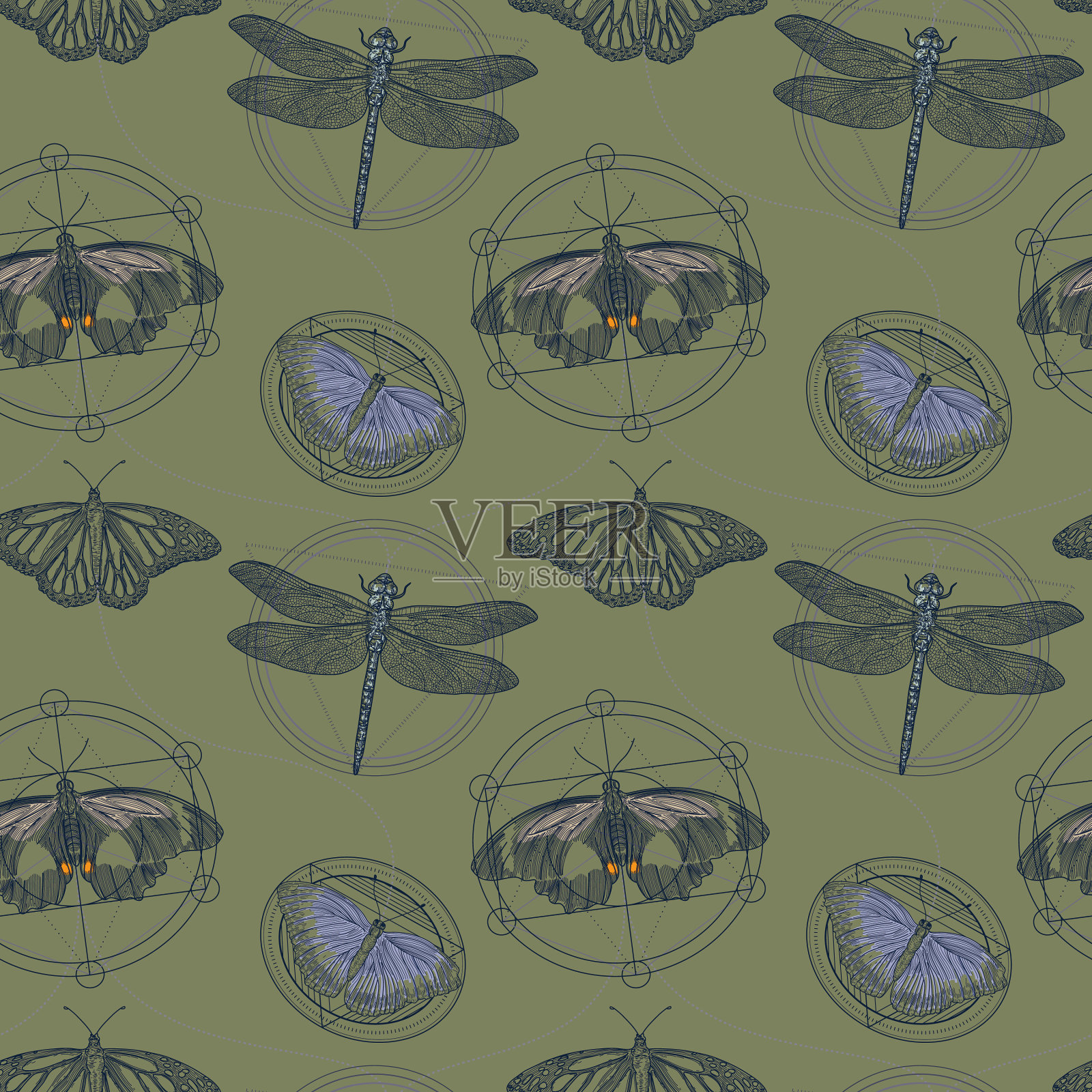 蛾，蝴蝶和蜻蜓神圣几何无缝图案插画图片素材