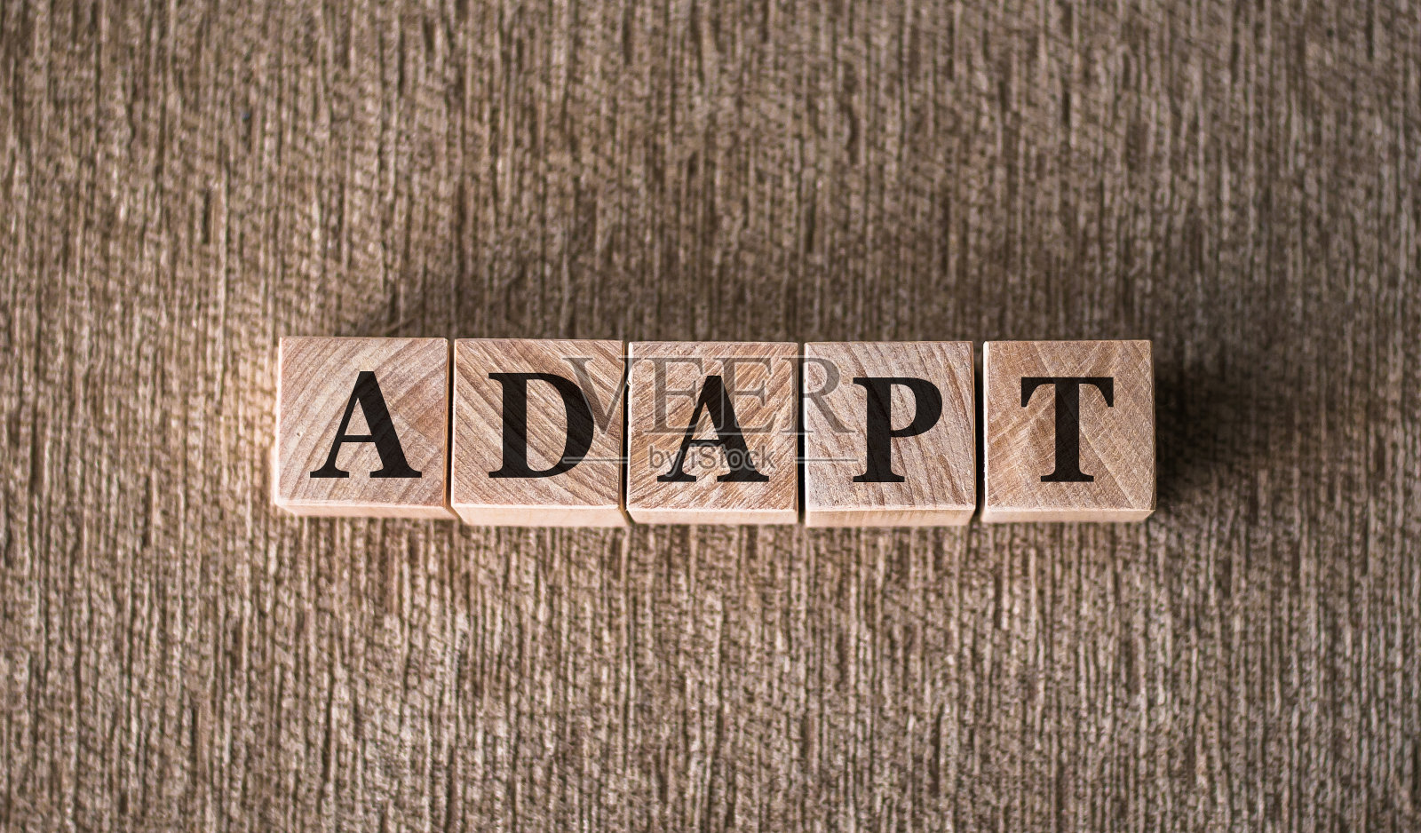 “ADAPT”字写在棕色背景的木块上。照片摄影图片