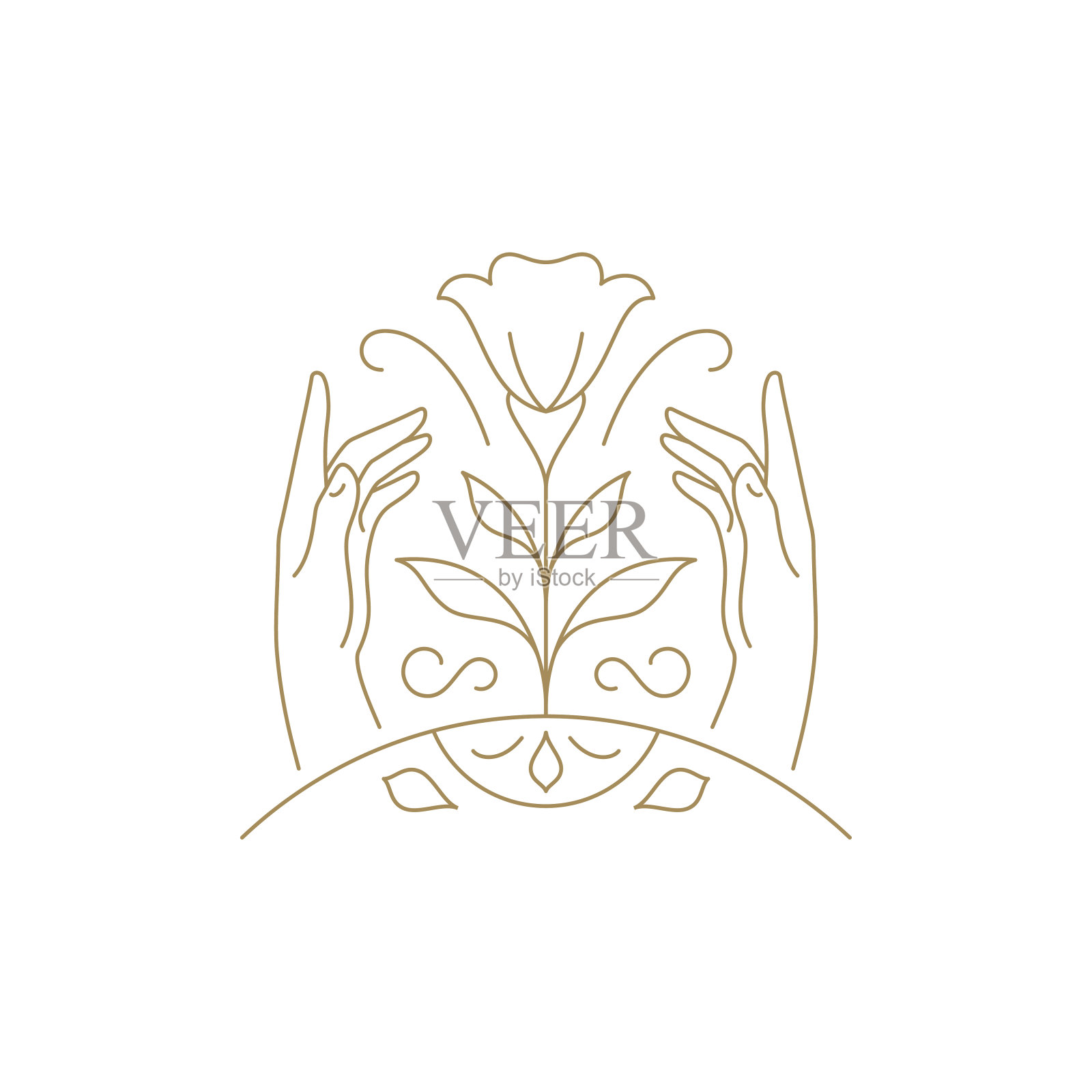 优雅的人的手拿着花开春天花蕾茎和花瓣极简线条标志向量插画图片素材