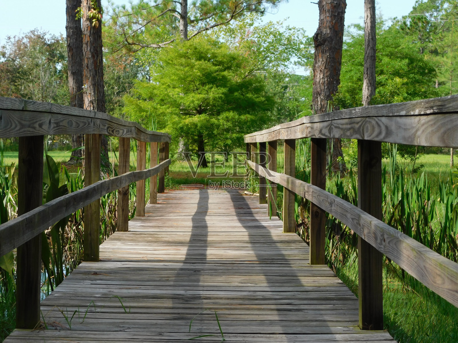 木制的途径照片摄影图片