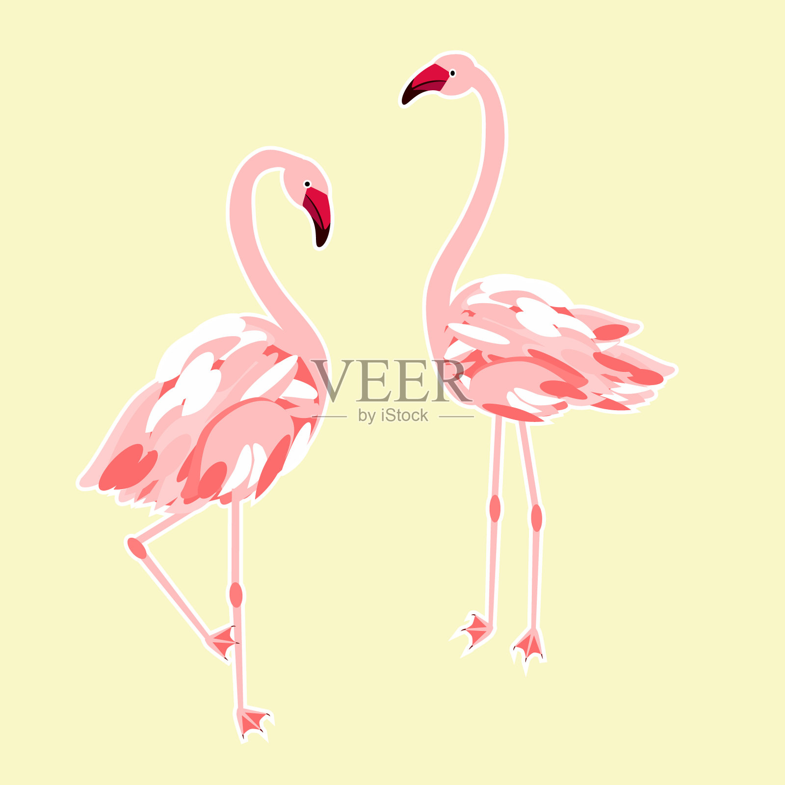 矢量-火烈鸟插图。插画图片素材