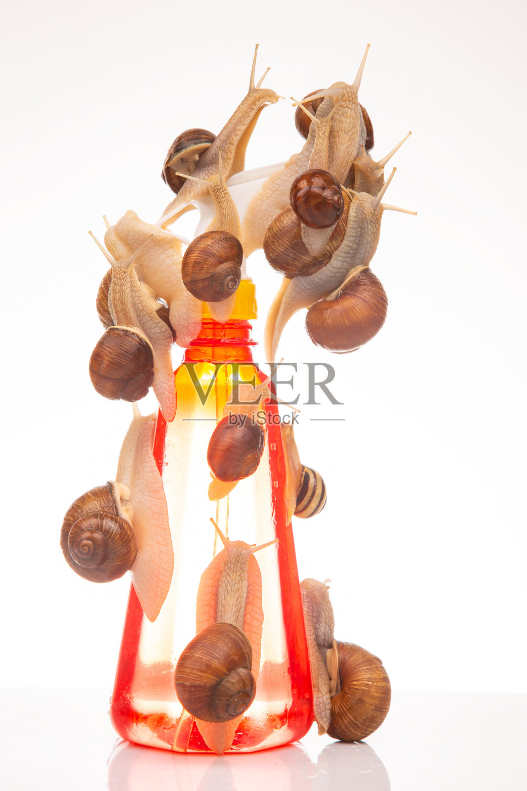 蜗牛和白色背景上的塑料泼水器。水分和贝类的生命照片摄影图片