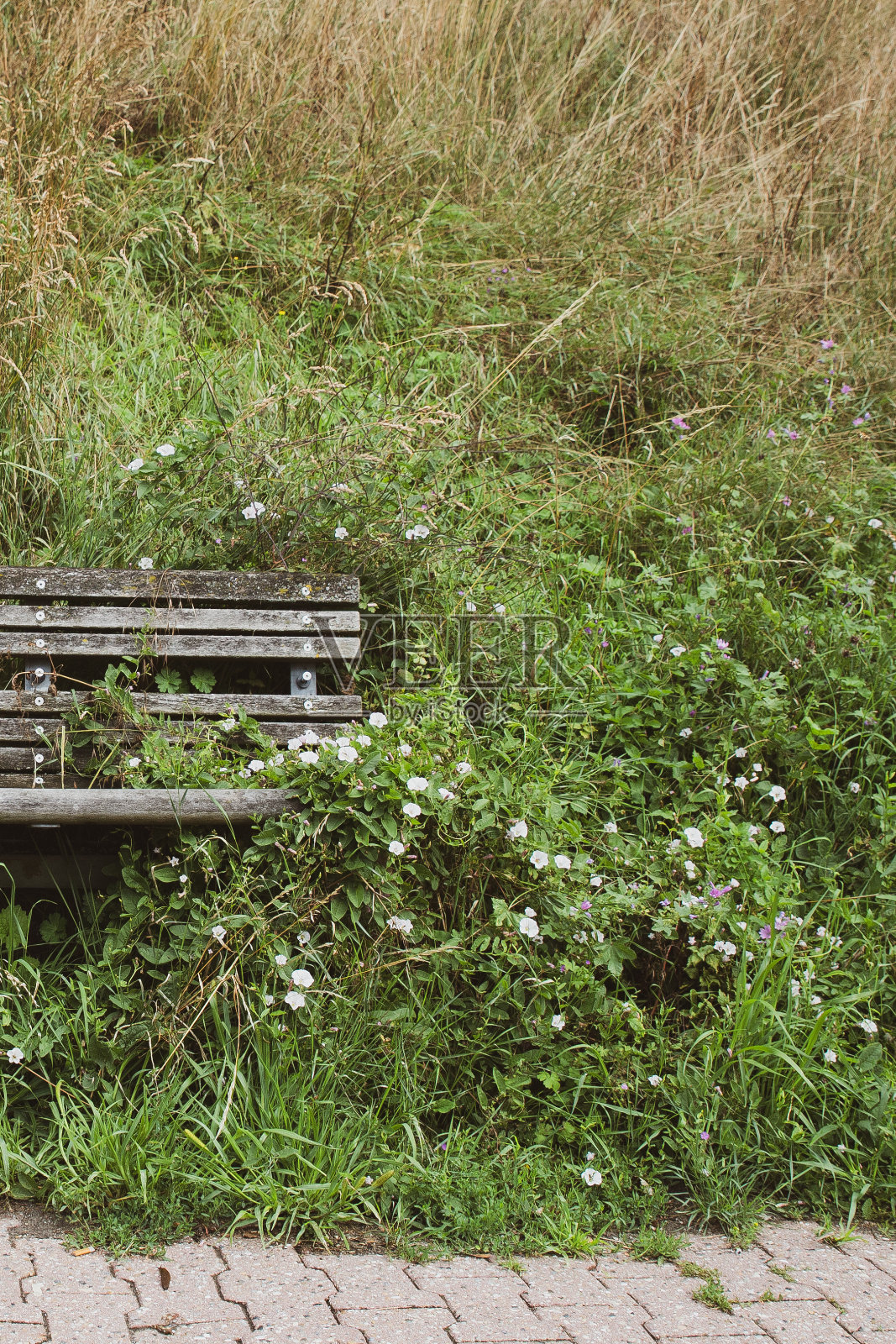 漂亮的旧木凳照片摄影图片