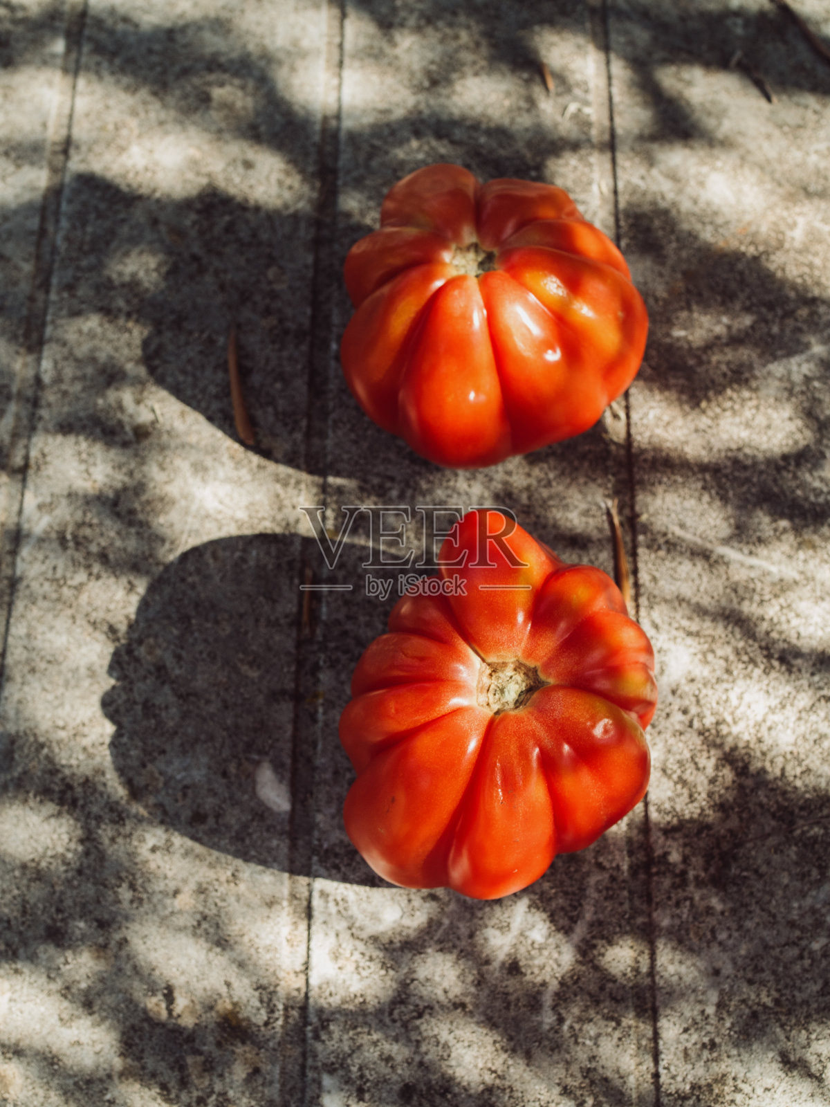 垂直特写的两个成熟的牛心番茄在桌子上与自然模式的橄榄树的阴影。撒丁岛人夏季。照片摄影图片