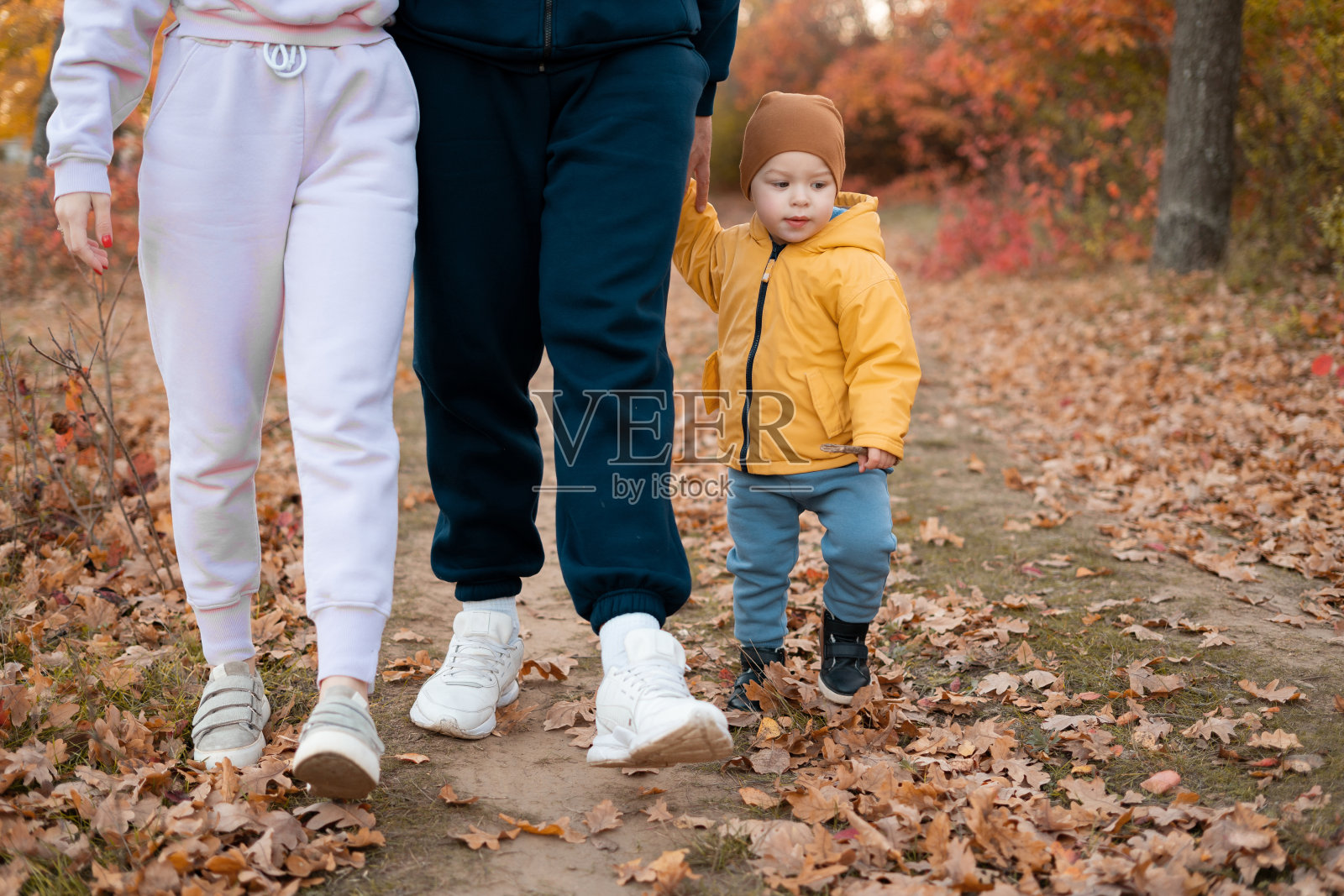 美丽年轻的一家人在秋天的森林里散步，妈妈、爸爸和小儿子手挽着手照片摄影图片