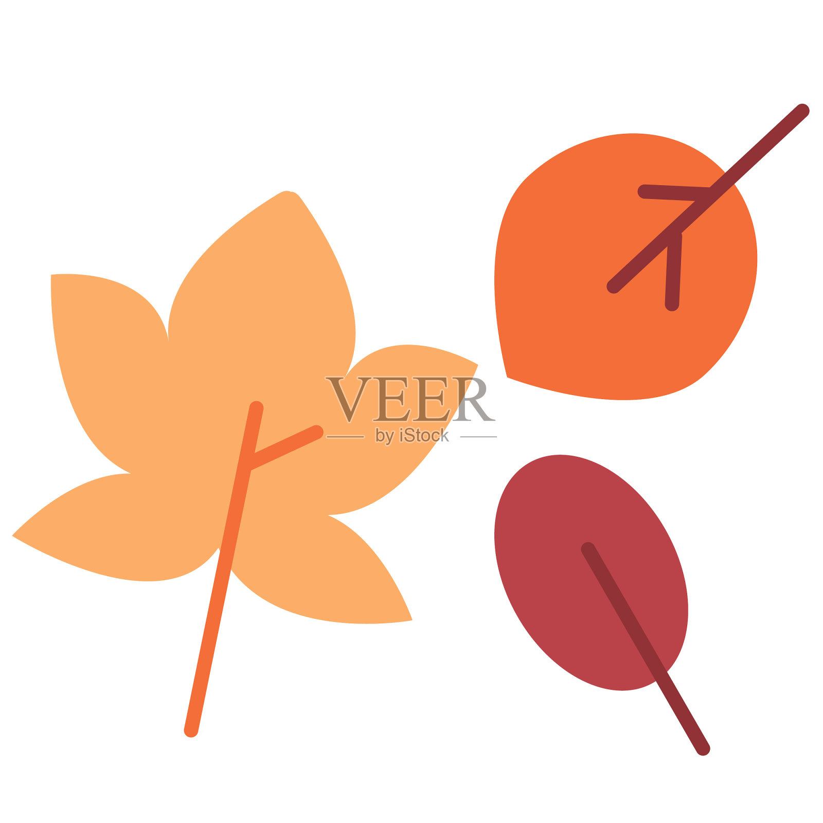 秋叶颜色图标在白色背景插画图片素材