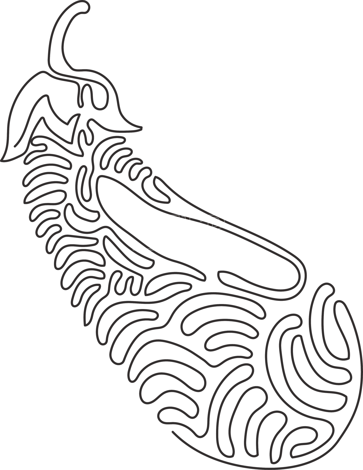 单线连续画出新鲜多汁的水果设计元素图片