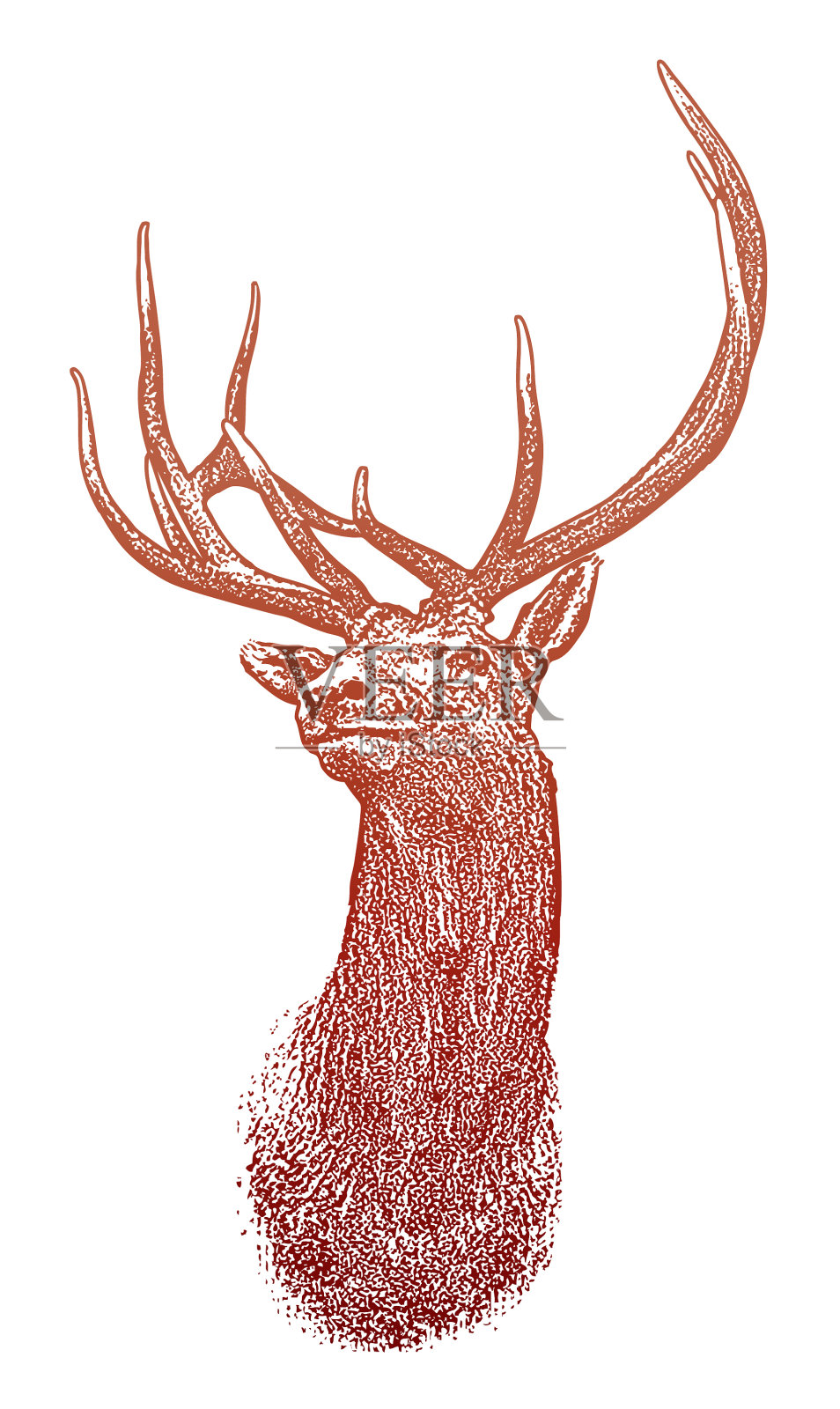 麋鹿头插画图片素材