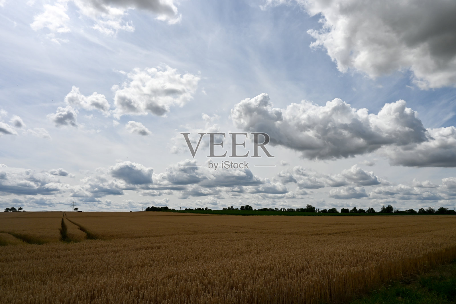 麦田和天空的云。农业领域。自然景观。食物。照片摄影图片