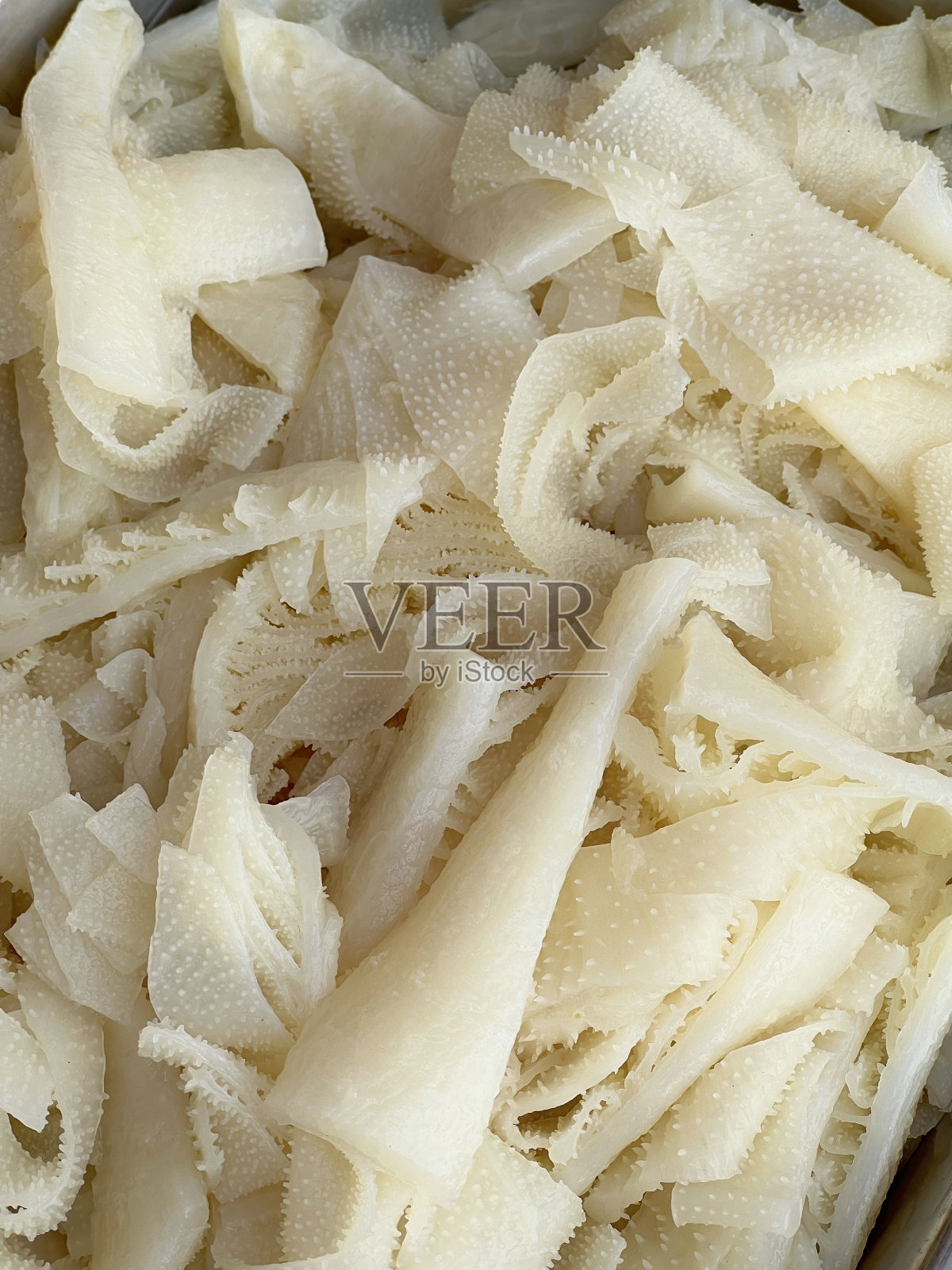 用于烹调的牛肚照片摄影图片