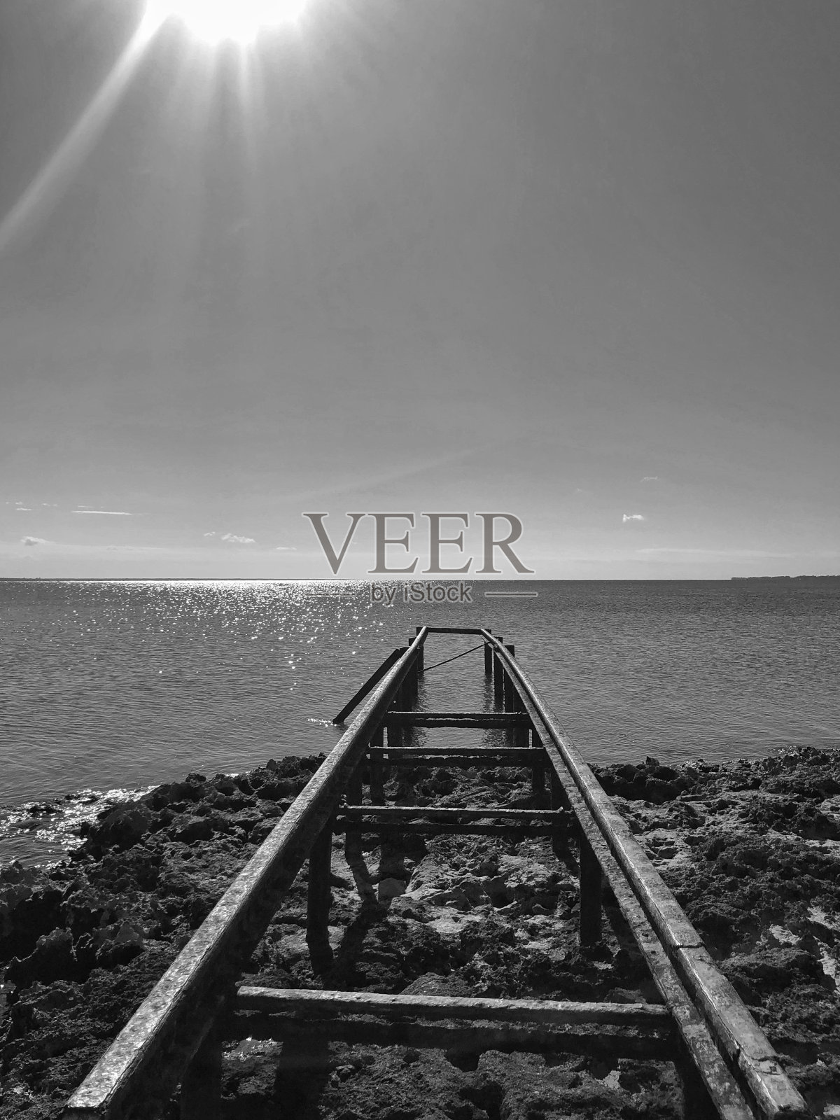 2021照片摄影图片