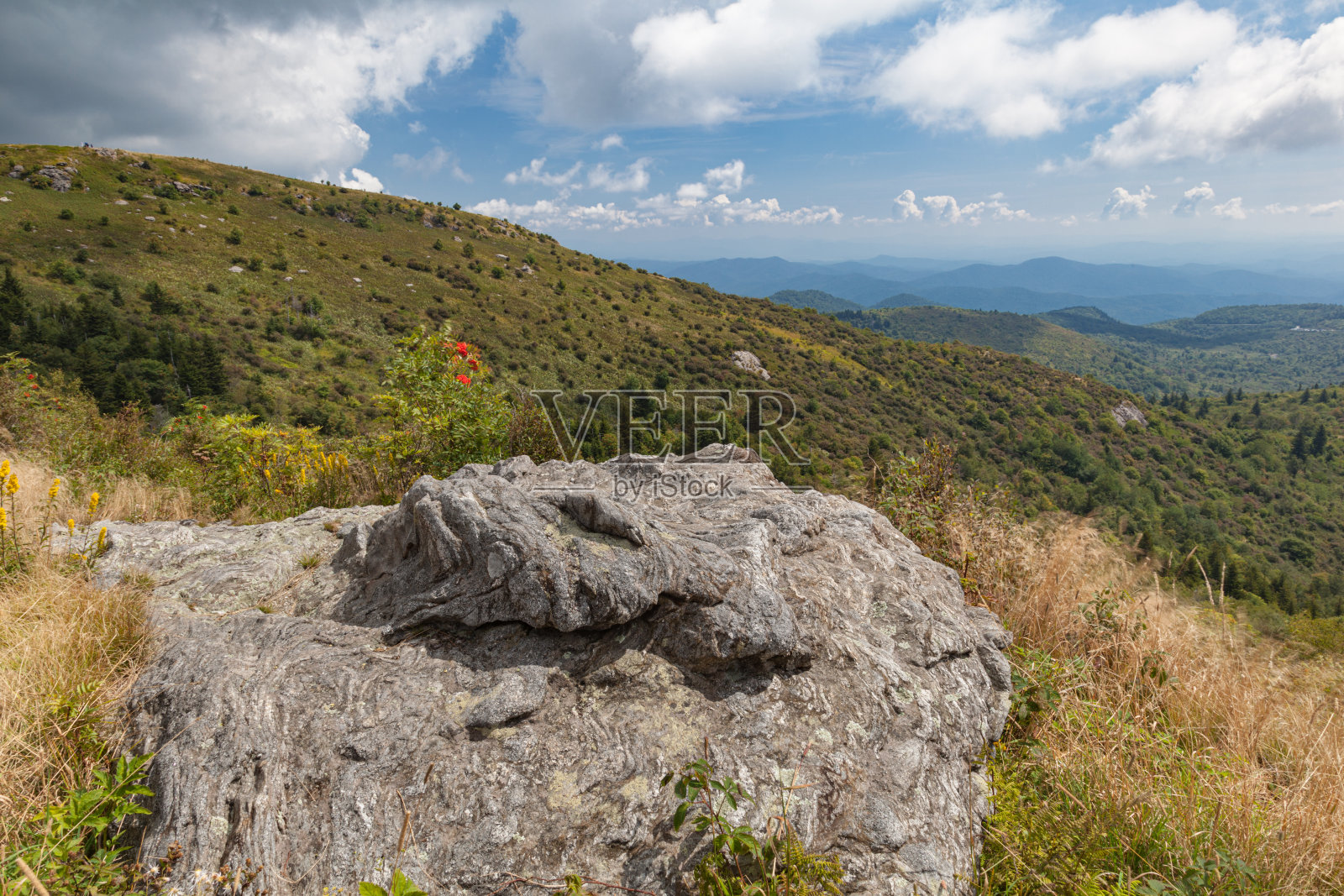 黑香脂和墓地区域照片摄影图片
