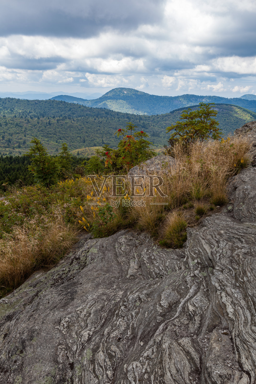 黑香脂和墓地区域照片摄影图片