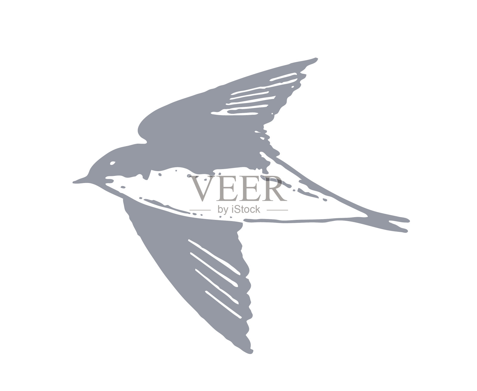 飞翔的树燕插画图片素材