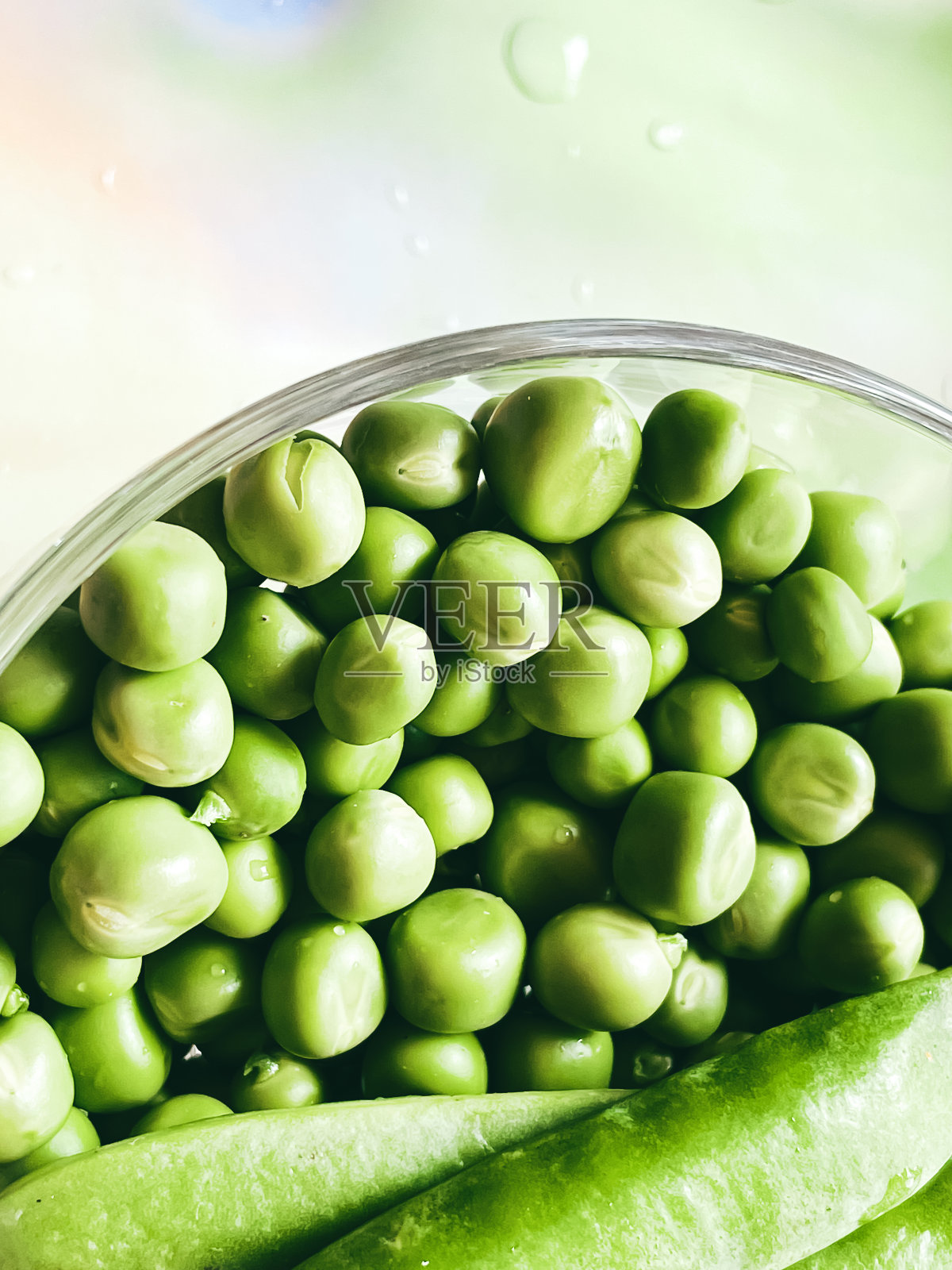 收获有机蔬菜、青豆。照片摄影图片