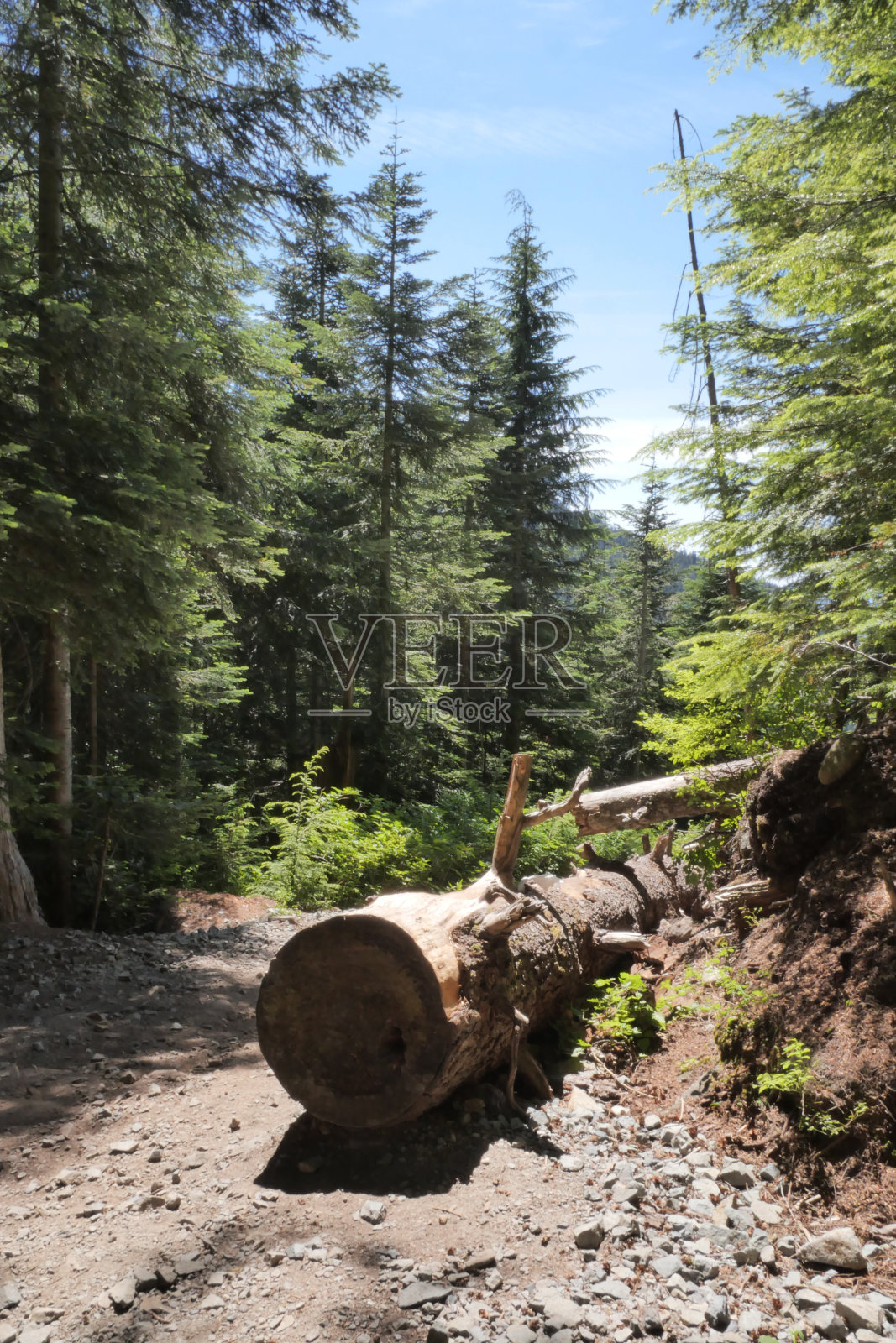 通往赛普拉斯山博文瞭望台的徒步道照片摄影图片
