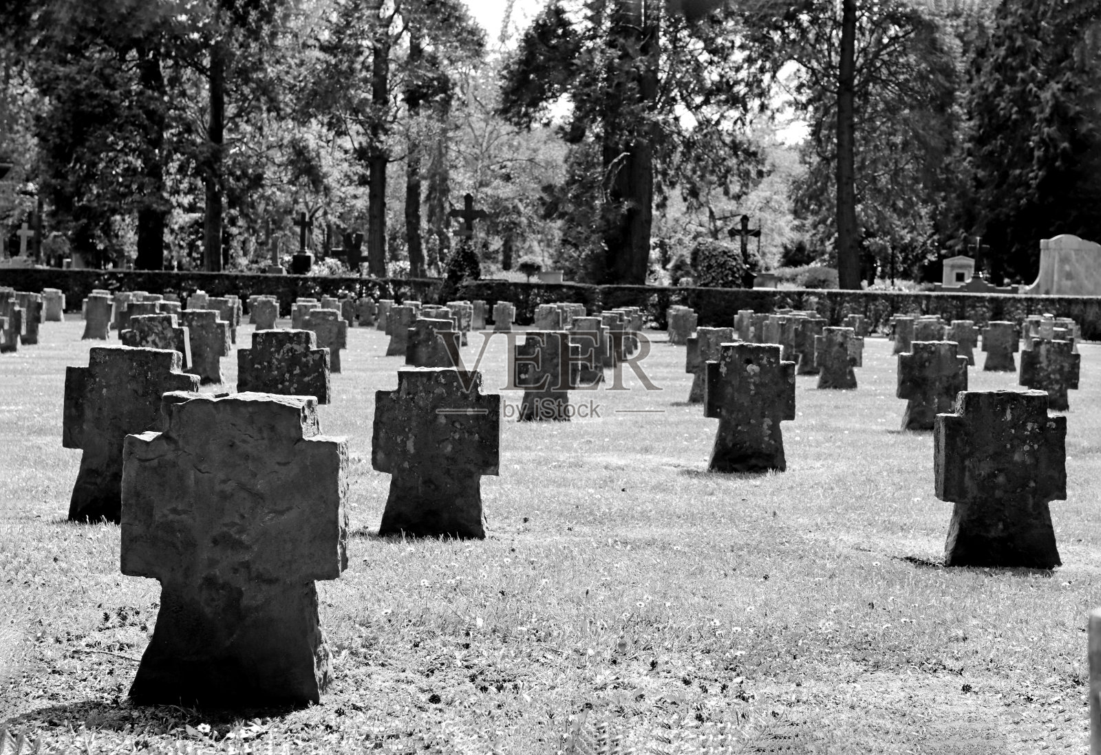 墓地照片摄影图片