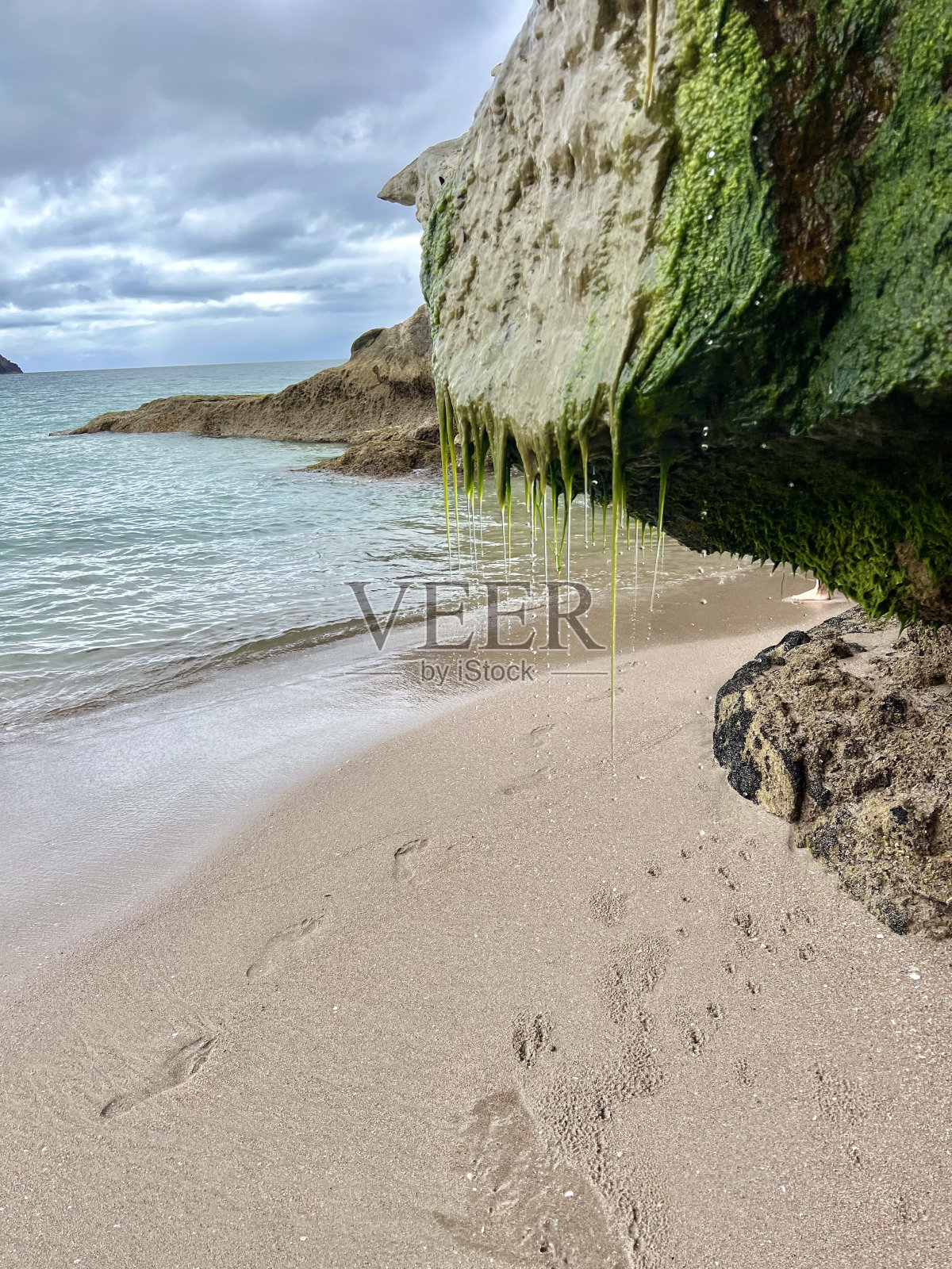 Coromondel，北岛，新西兰照片摄影图片