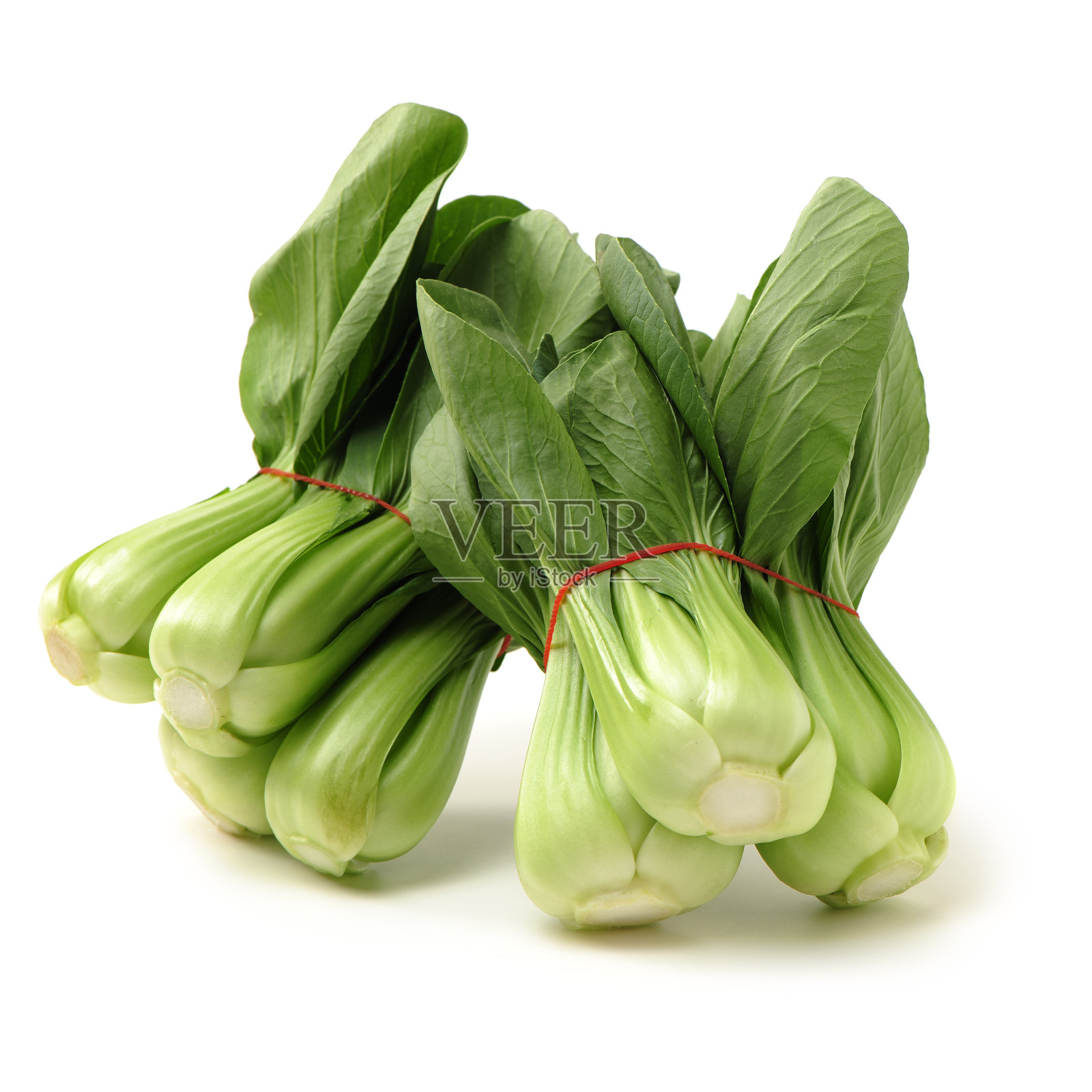 博克崔照片摄影图片