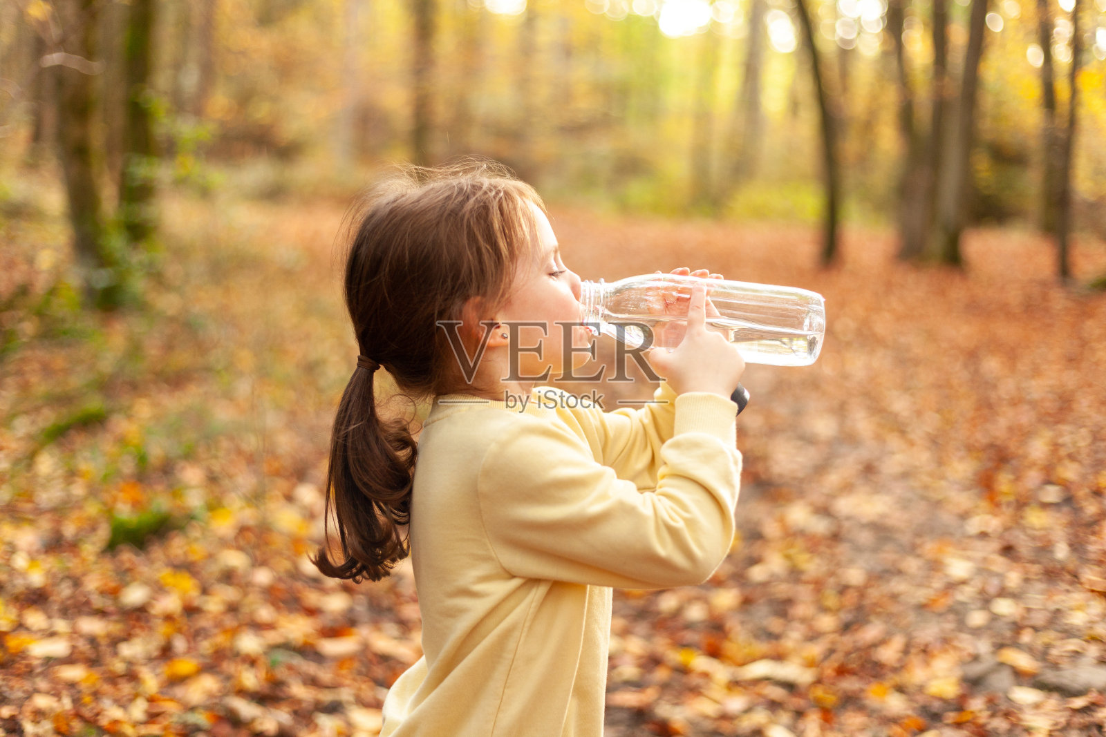 在一个阳光明媚的日子里，一个小女孩在秋天的森林里用瓶子喝水照片摄影图片
