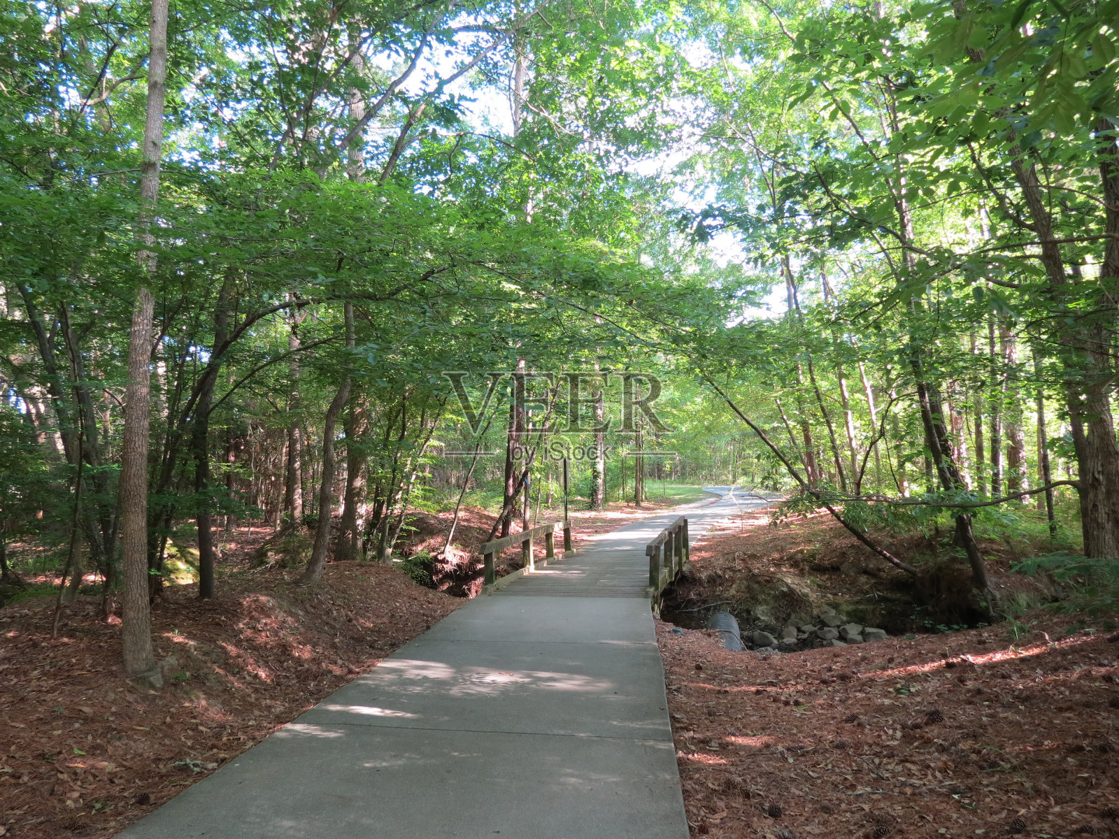 步道桥照片摄影图片