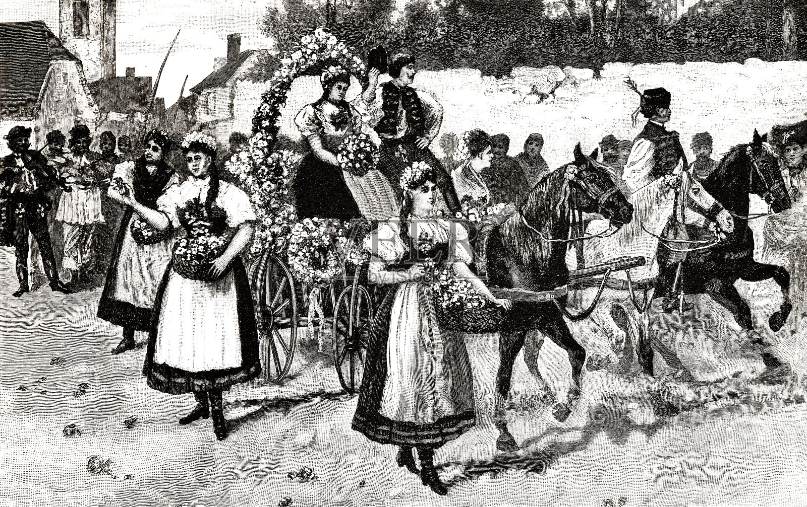 匈牙利玫瑰女王节插画图片素材