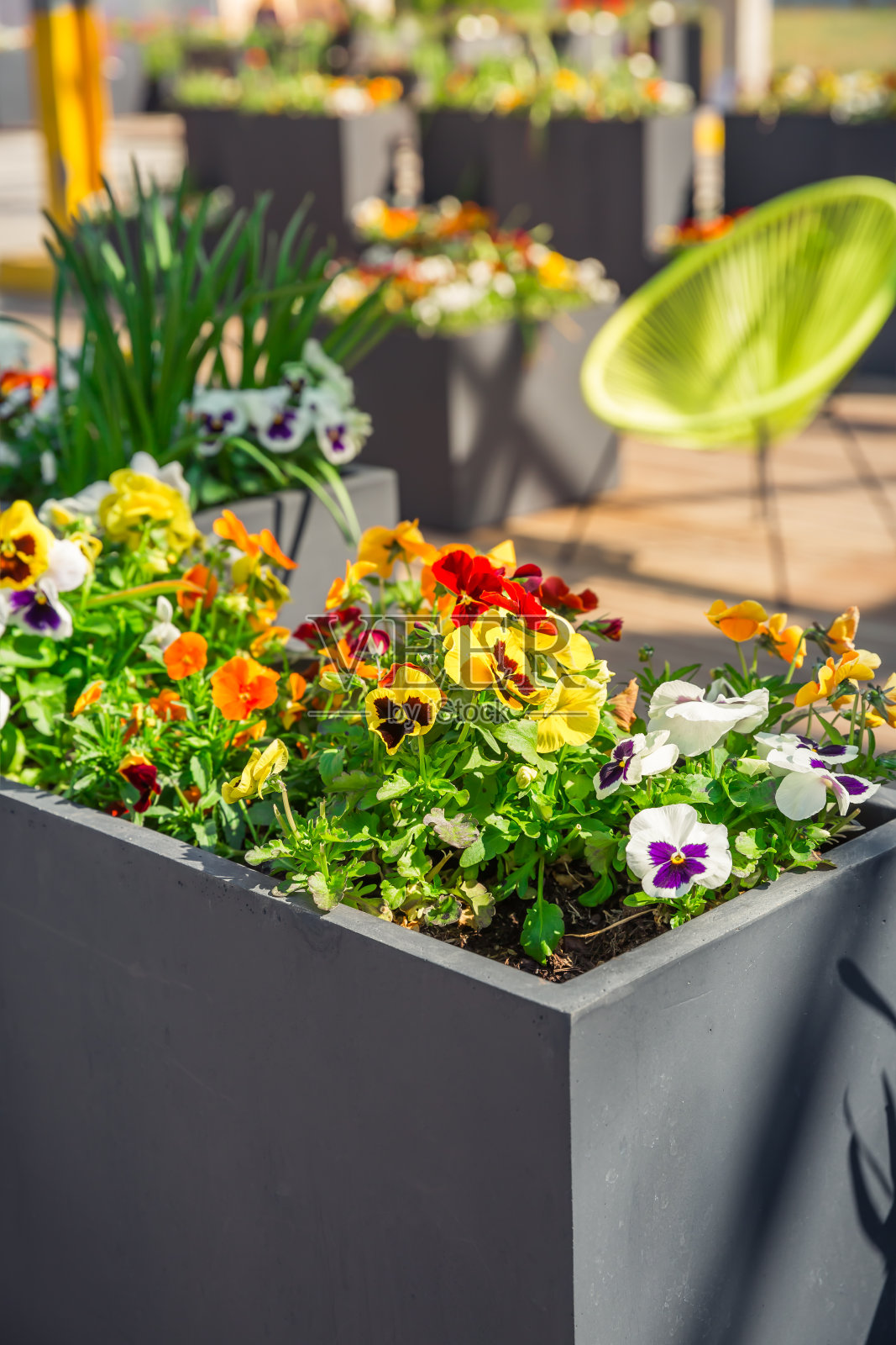 暑假配件，旅游或度假的概念。夏天的背景。照片摄影图片
