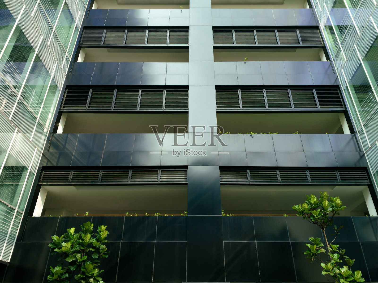 现代现代感的高层办公楼外部，有树木和室内植物。建筑外观，两侧有反光玻璃窗。几何网格设计。低角度视图照片摄影图片