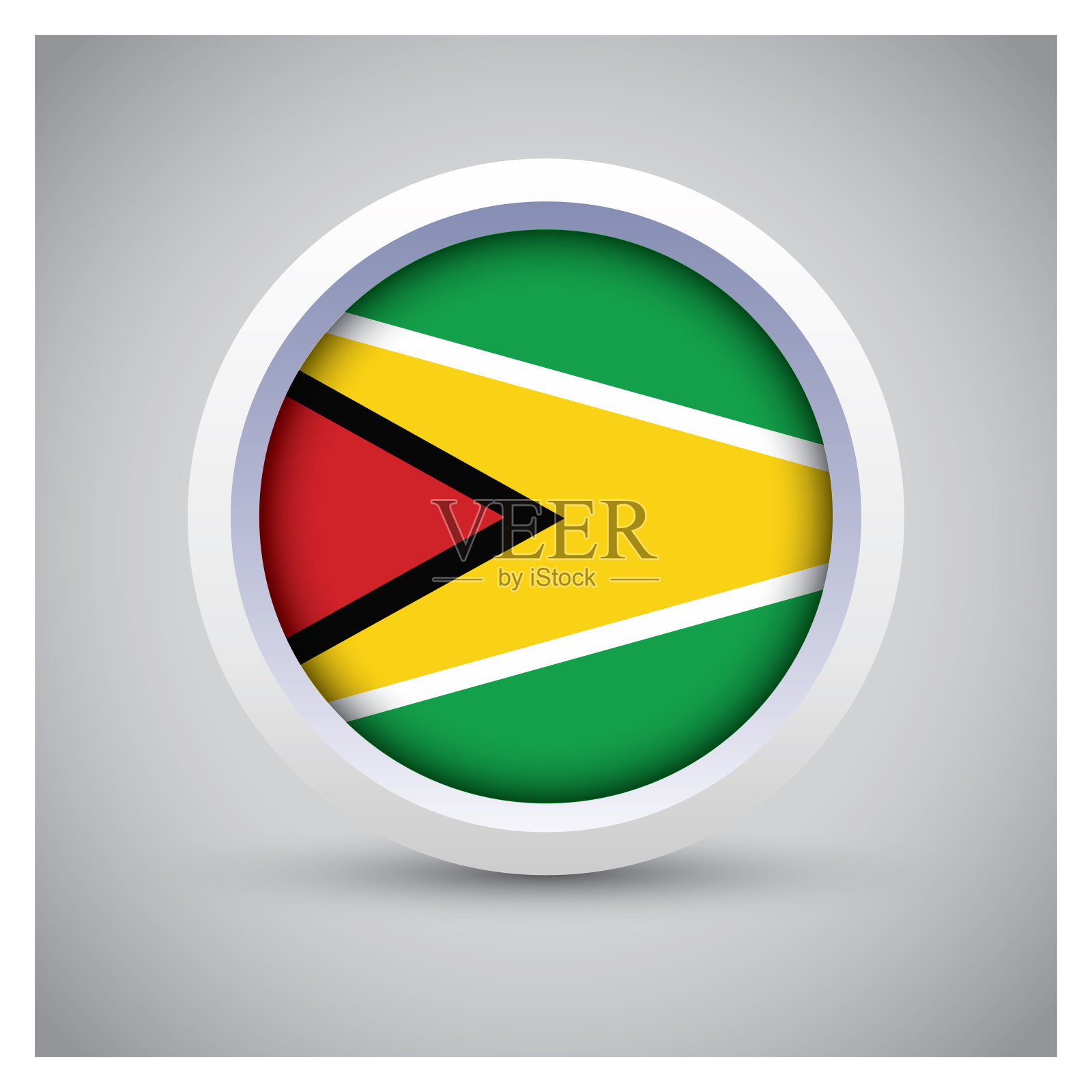 带有国旗图标的白色按钮上的圭亚那国旗，标准颜色插画图片素材