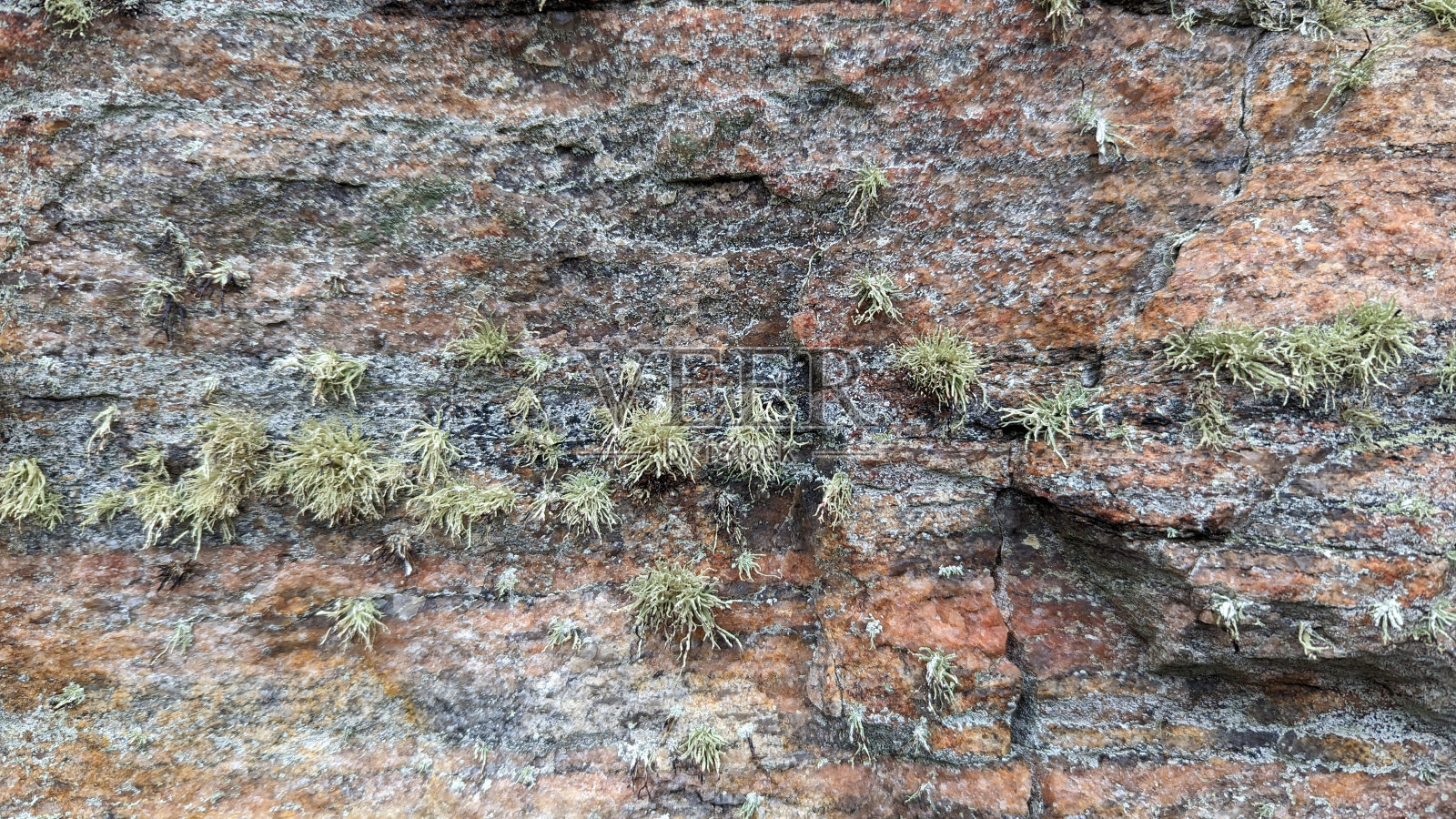 抽象的背景照片摄影图片