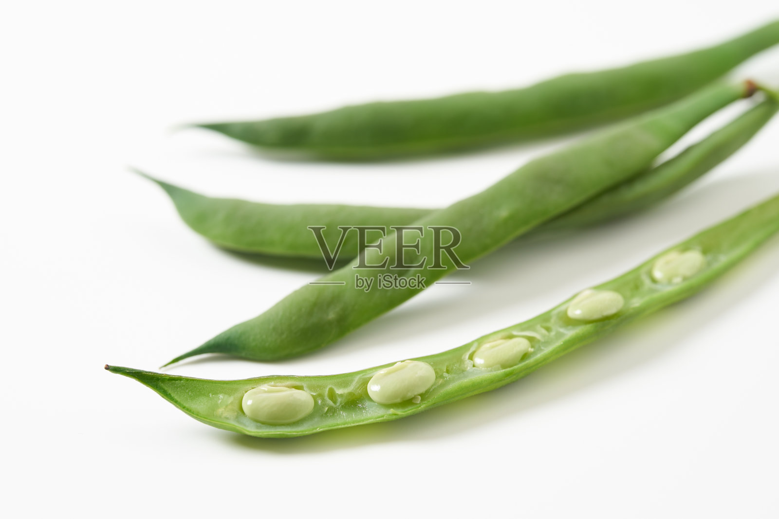 紫色芸豆白色背景图像照片摄影图片