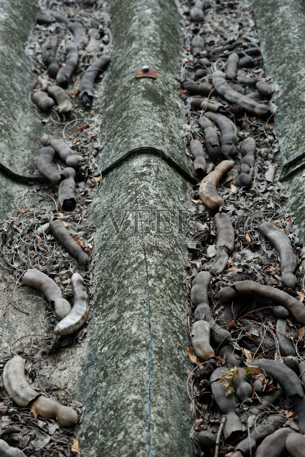 在屋顶上有一个水手舱照片摄影图片