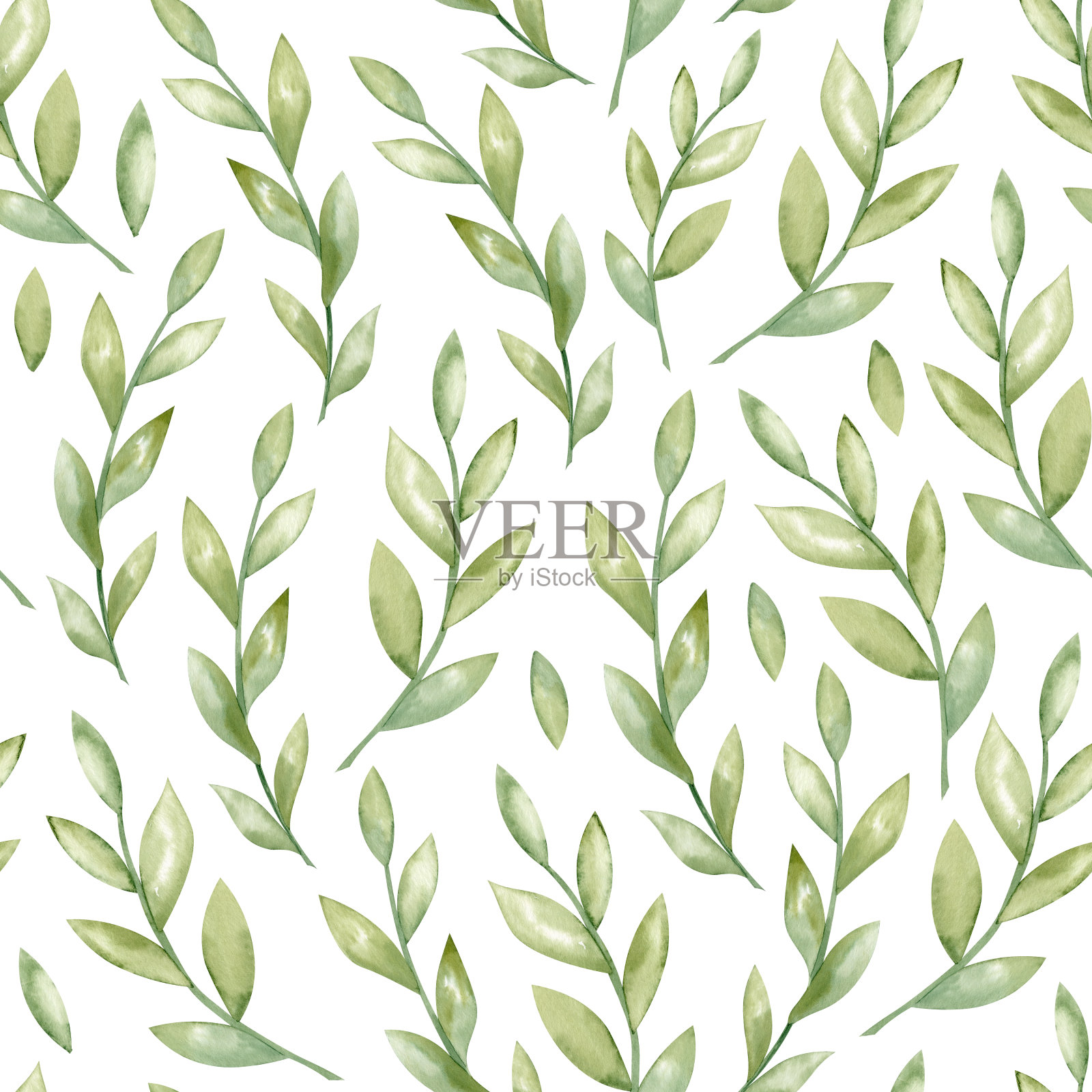 绿叶无缝图案。手绘插图的植物点缀在白色孤立的背景。用纸或纺织品设计用涂鸦风格的带有叶子的印刷品插画图片素材