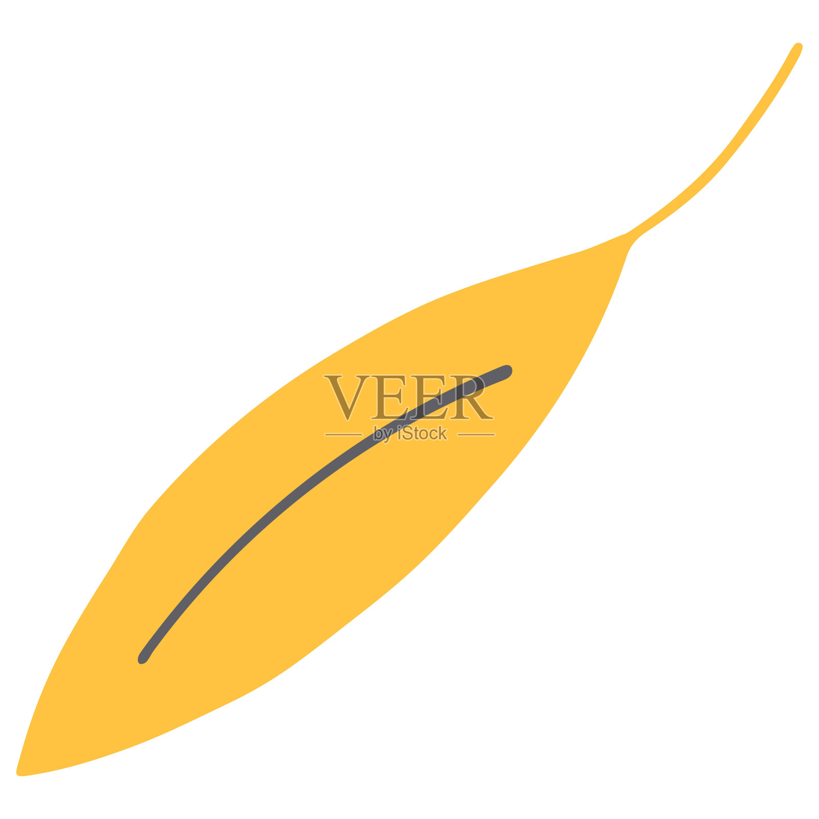 白色背景上的彩色矢量叶子插图。插画图片素材